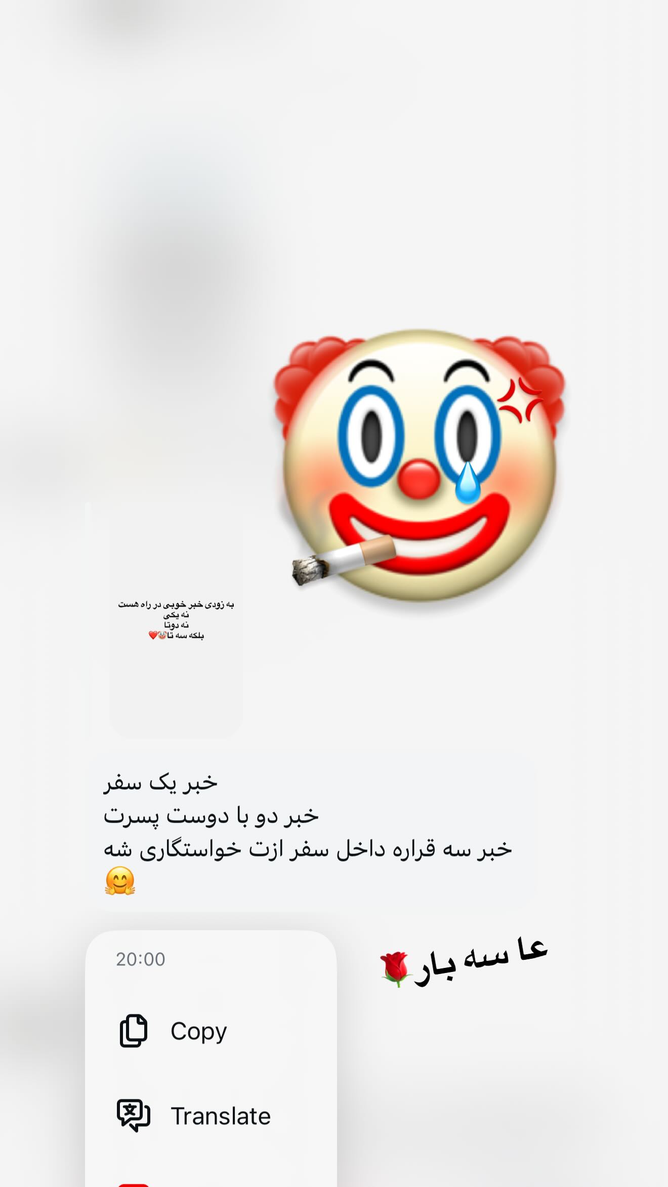  جدید ترین استوری اینستاگرام شقایق محمودی