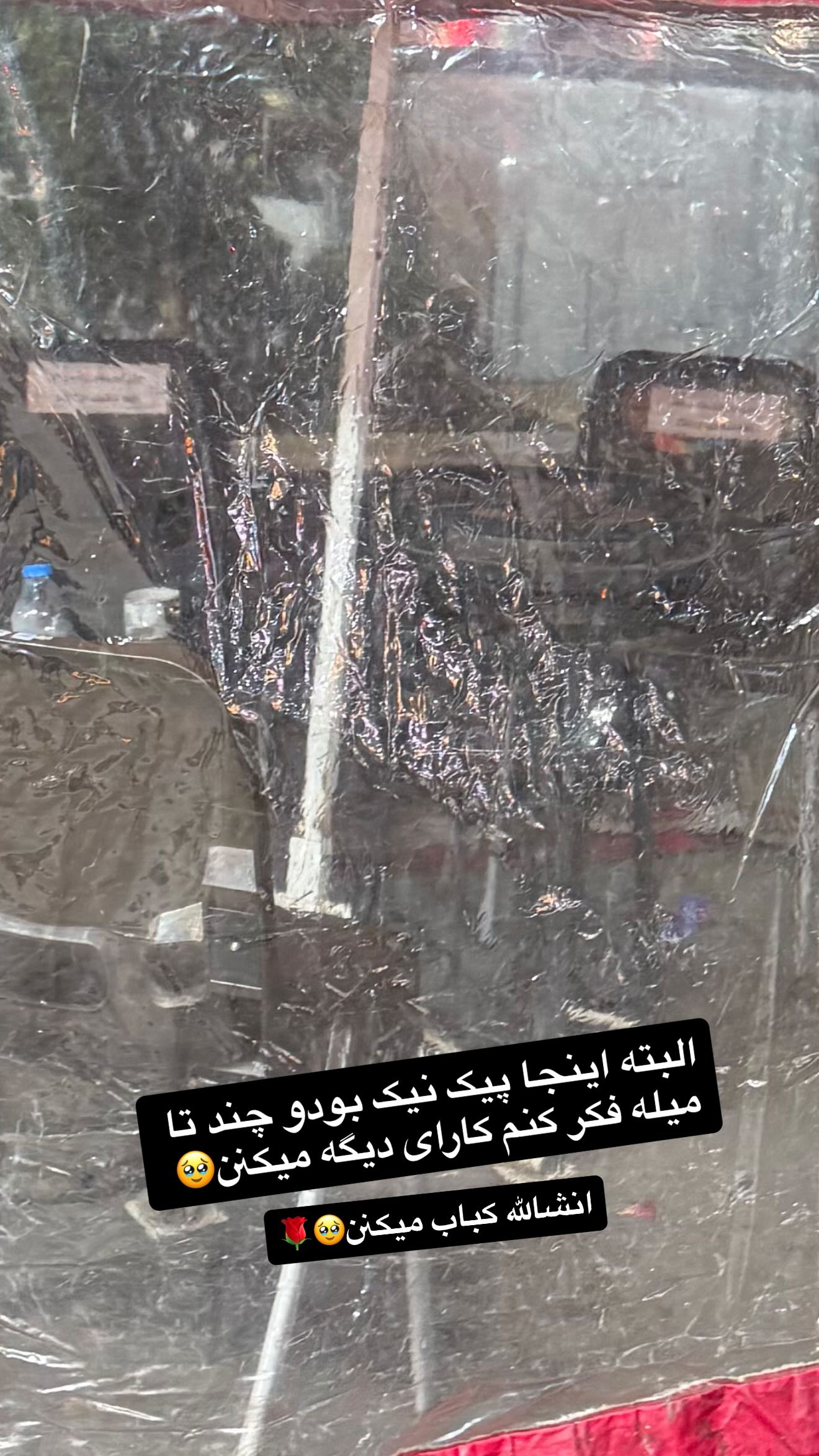  جدید ترین استوری اینستاگرام شقایق محمودی