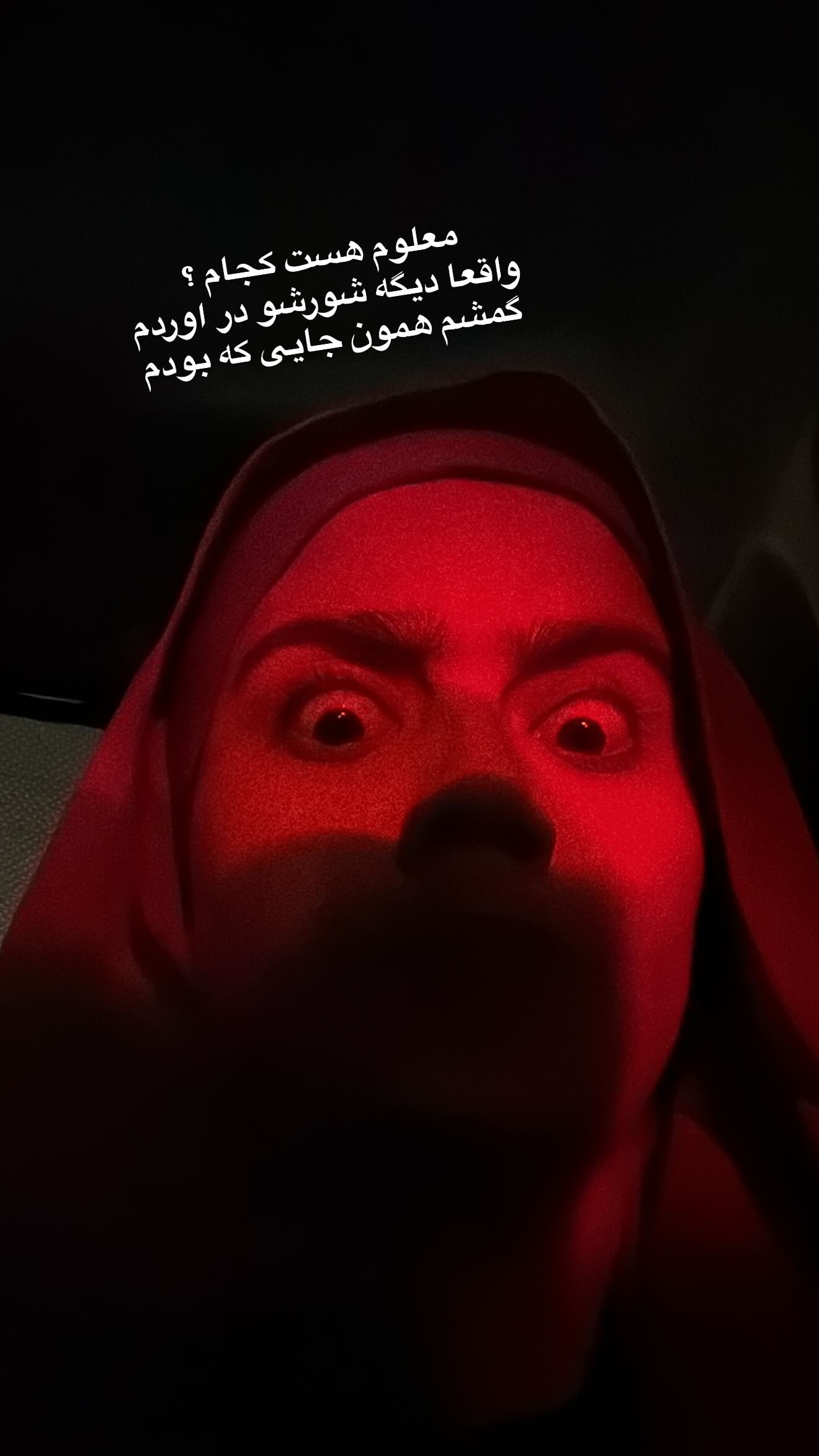  جدید ترین استوری اینستاگرام شقایق محمودی