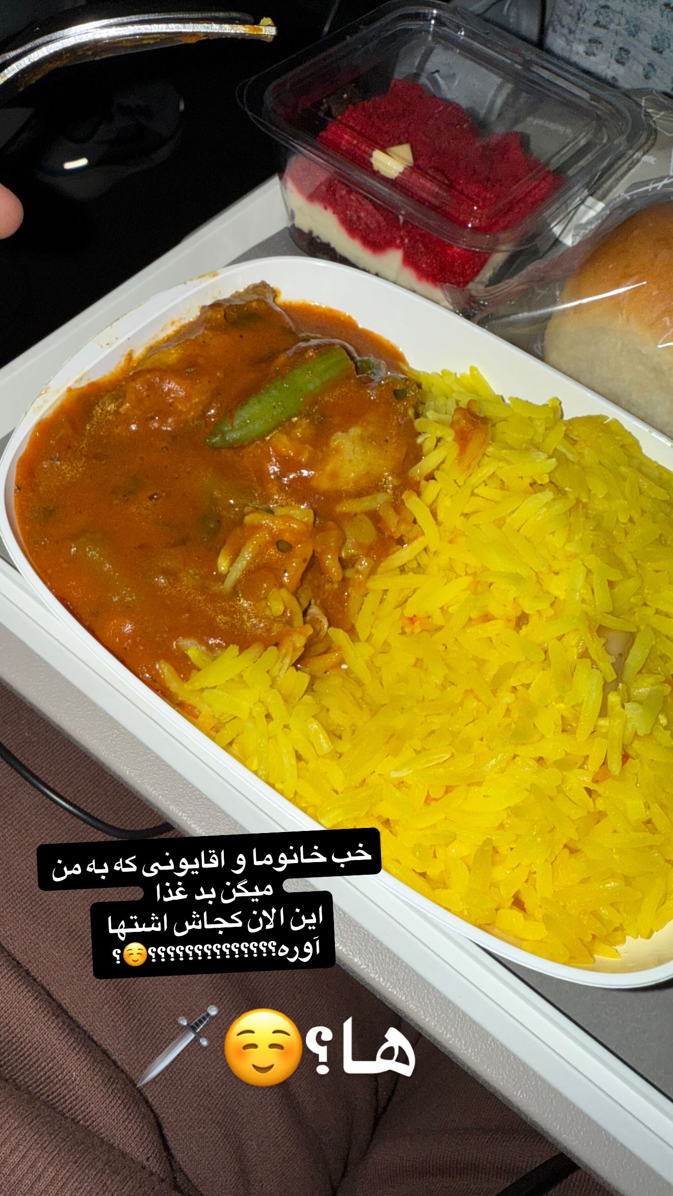  جدید ترین استوری اینستاگرام شقایق محمودی