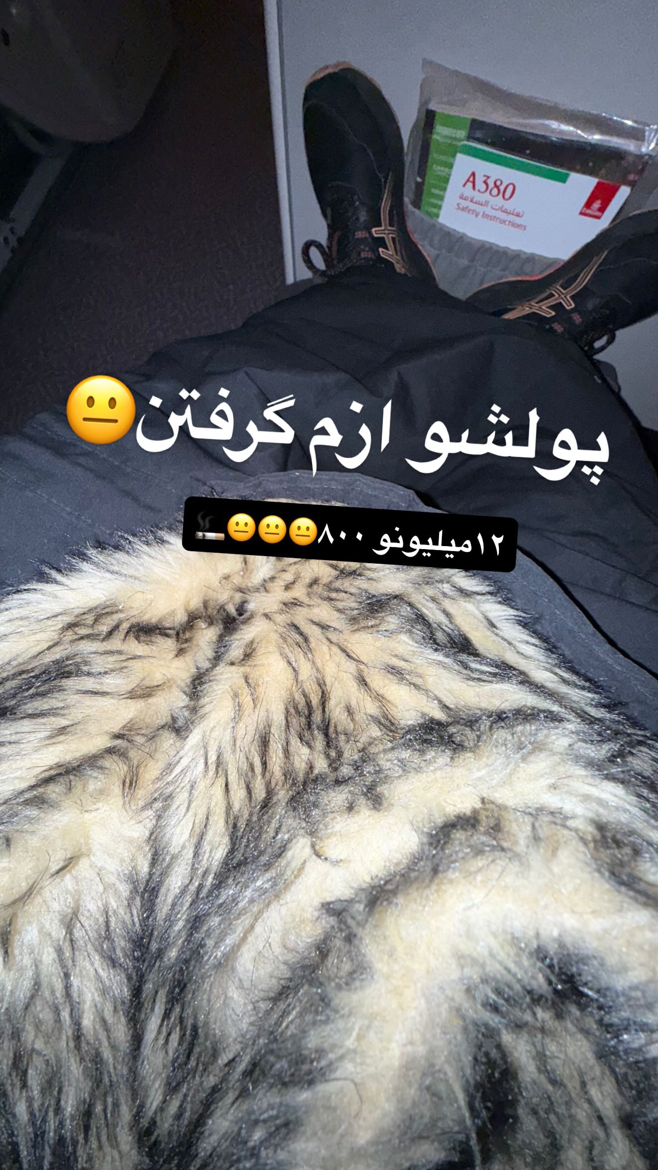  جدید ترین استوری اینستاگرام شقایق محمودی