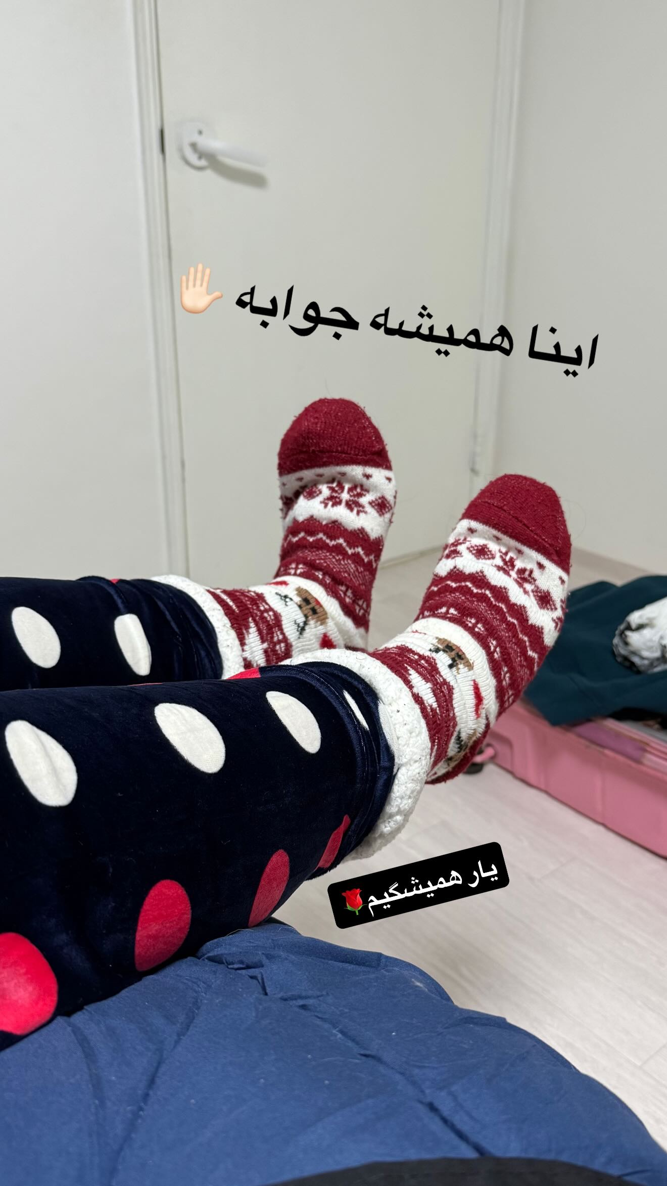  جدید ترین استوری اینستاگرام شقایق محمودی