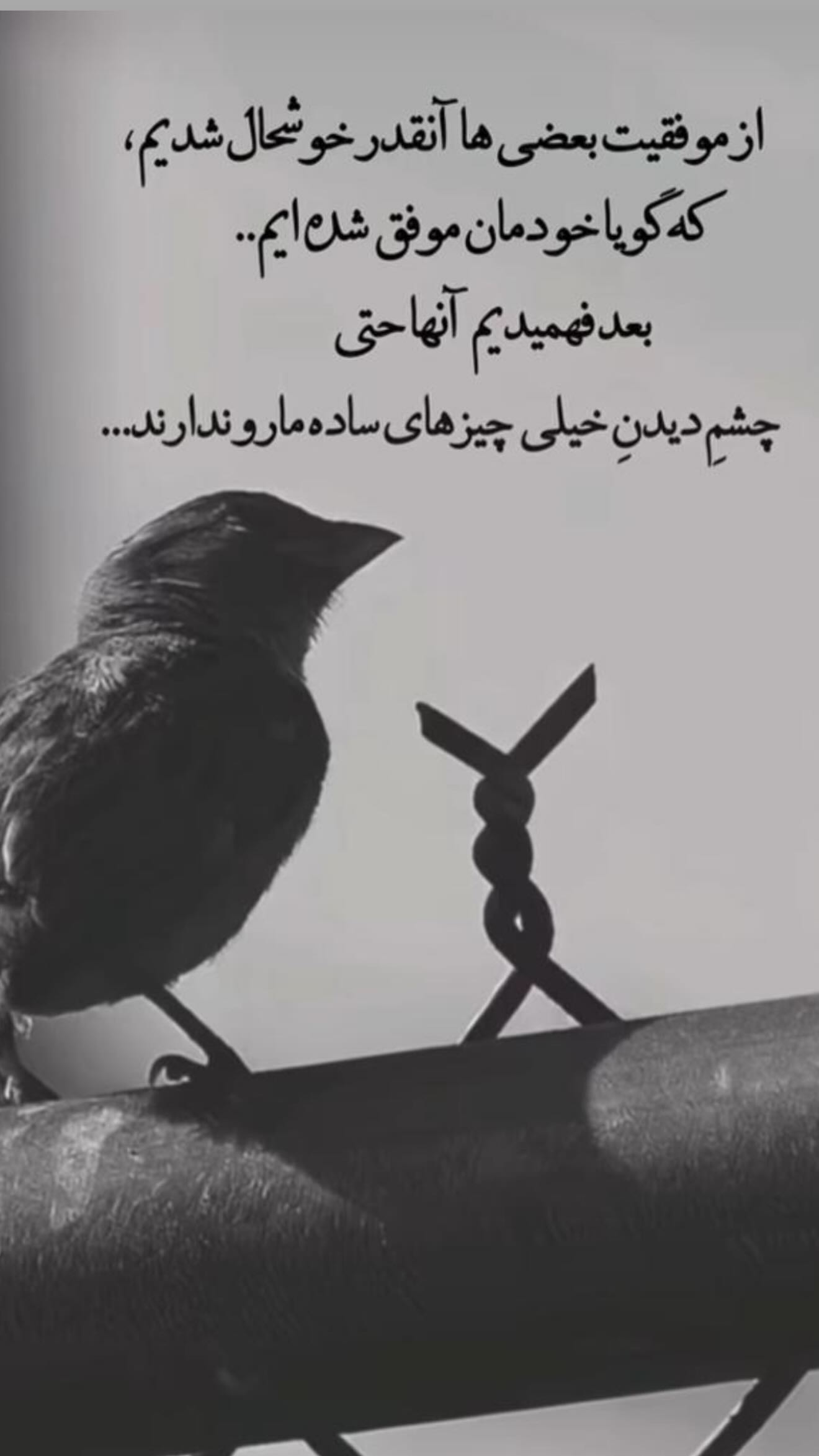  جدید ترین استوری اینستاگرام شقايق فراهانی