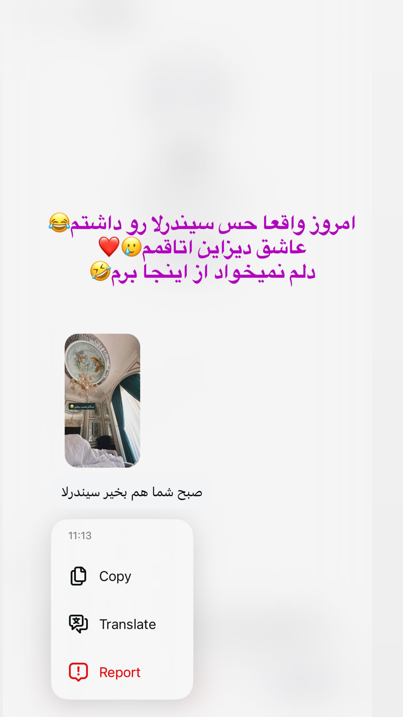  جدید ترین استوری اینستاگرام شقایق نوئی