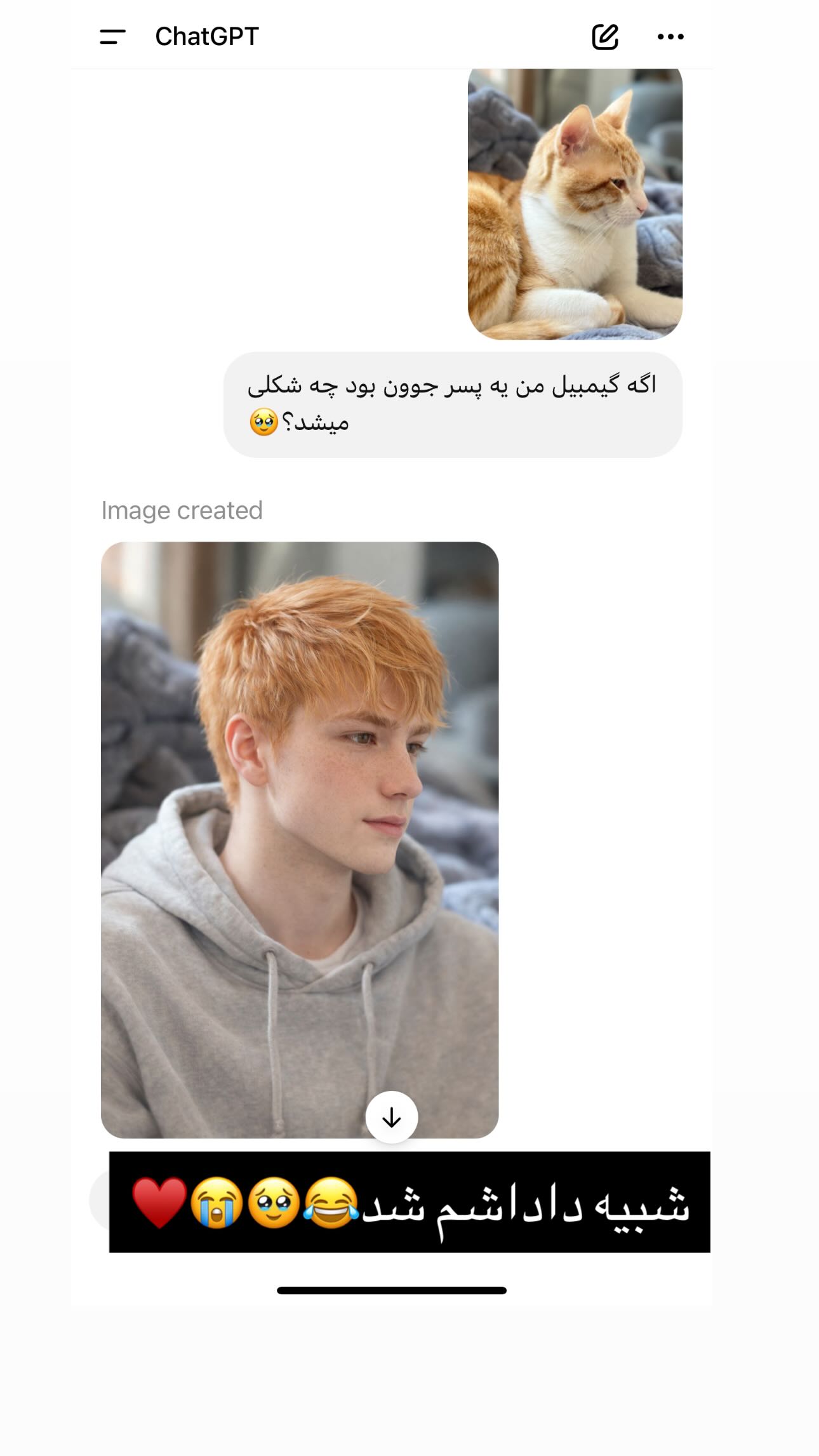  جدید ترین استوری اینستاگرام شقایق نوئی