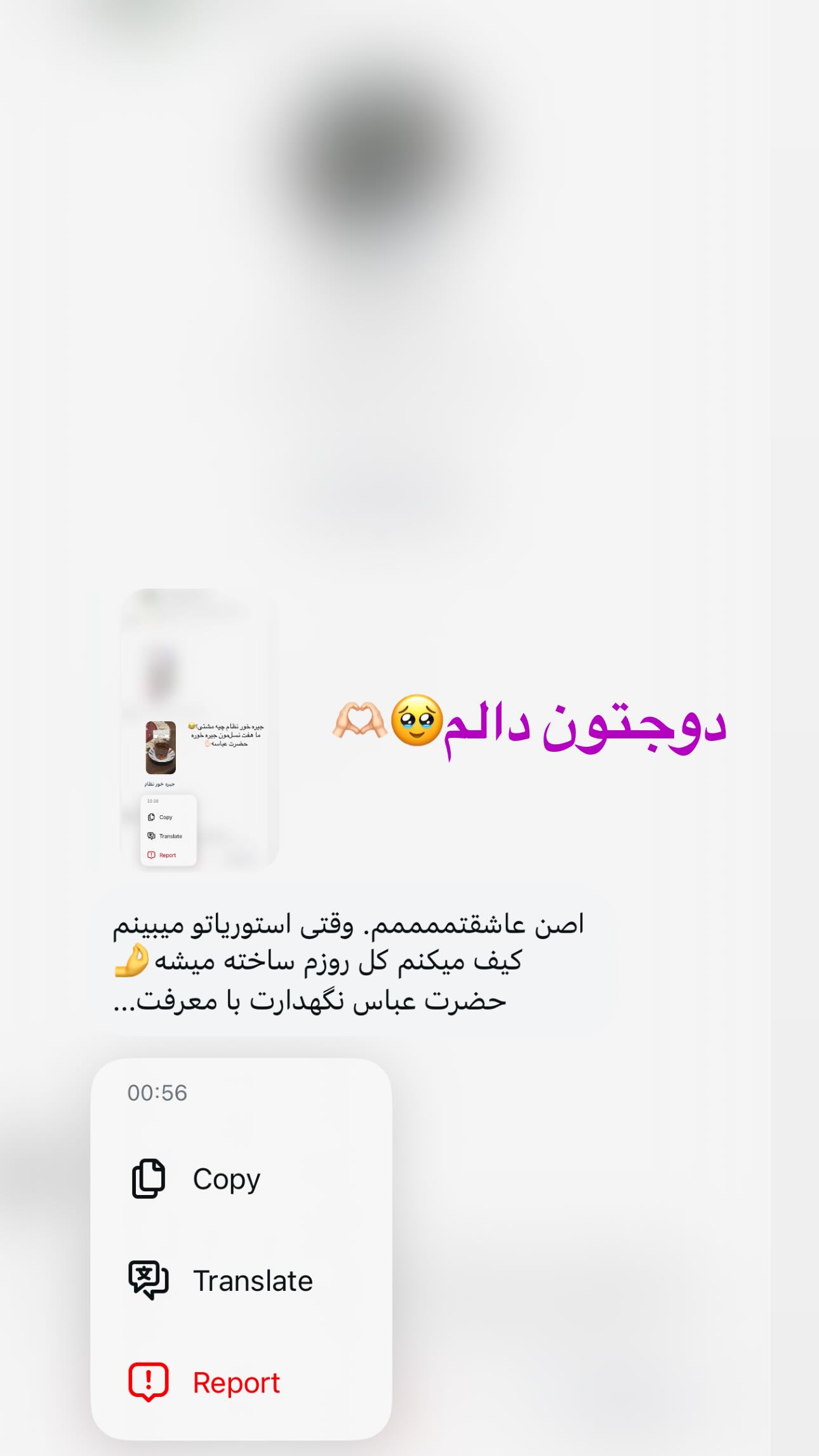  جدید ترین استوری اینستاگرام شقایق نوئی
