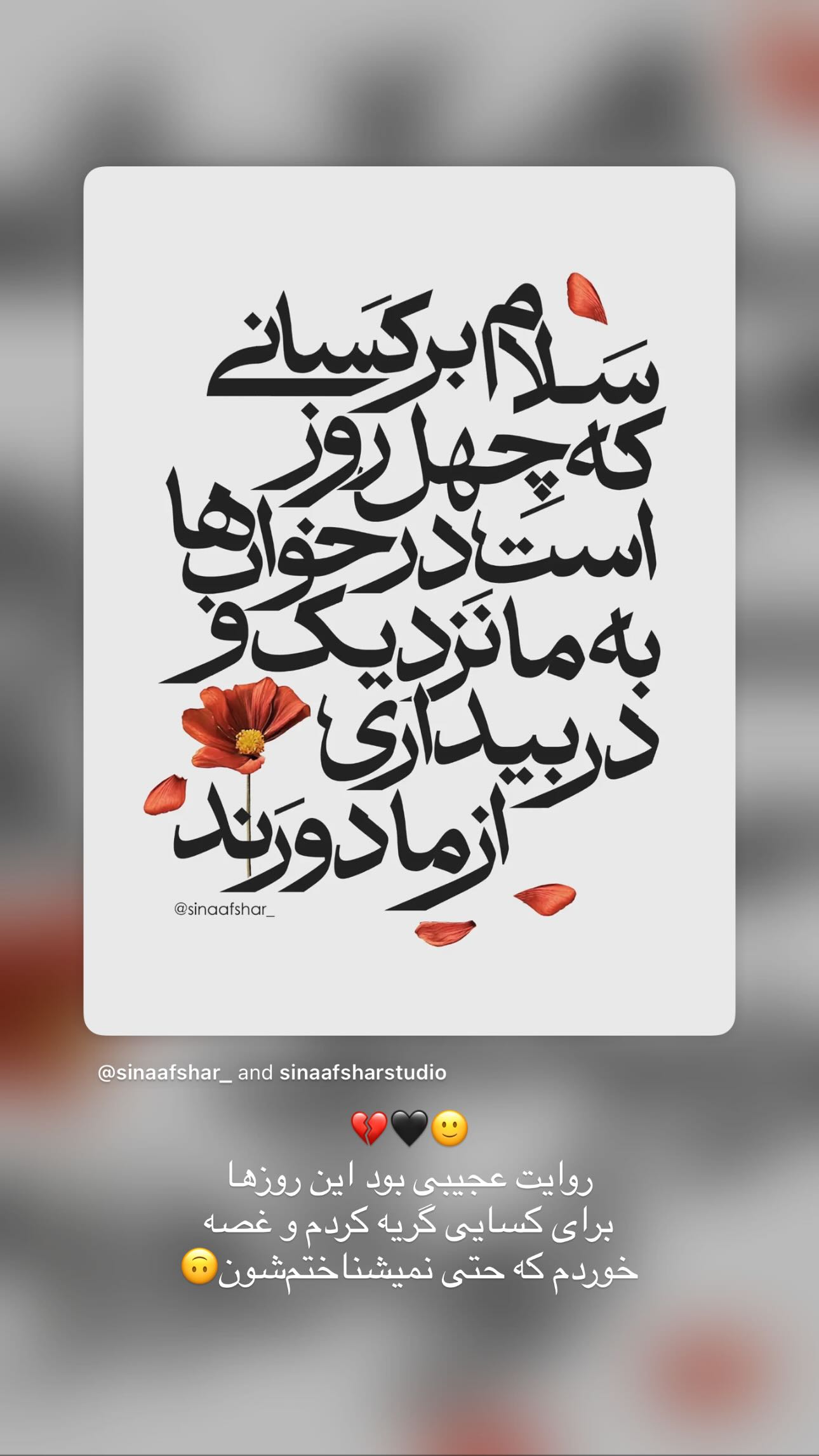  جدید ترین استوری اینستاگرام شقایق نوئی