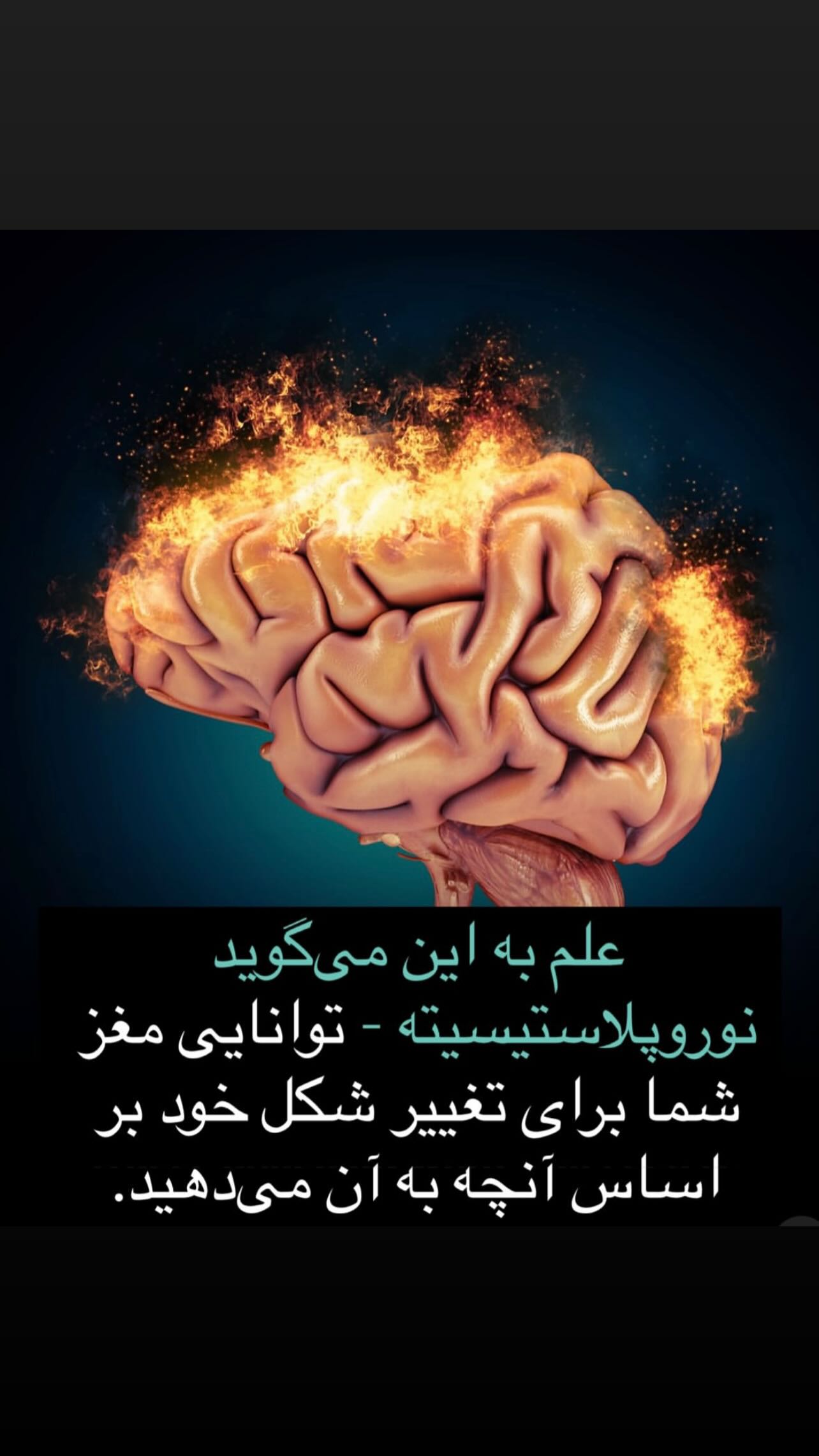  جدید ترین استوری اینستاگرام شراره رخام