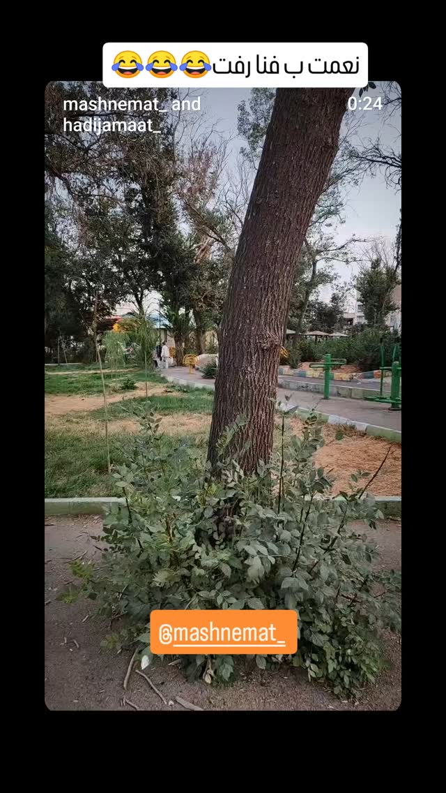  جدید ترین استوری اینستاگرام جمشید اسدی