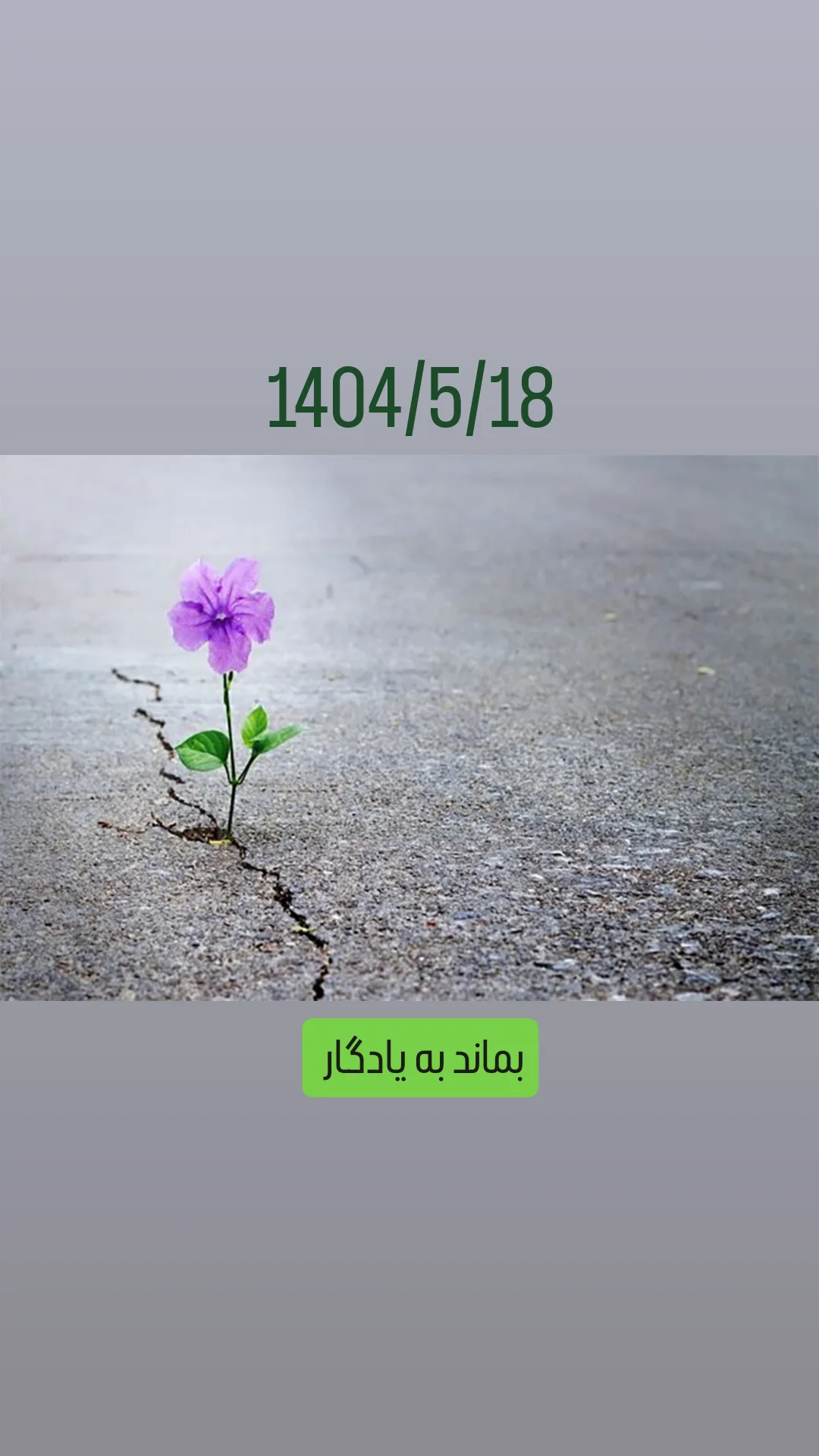  جدید ترین استوری اینستاگرام جمشید اسدی