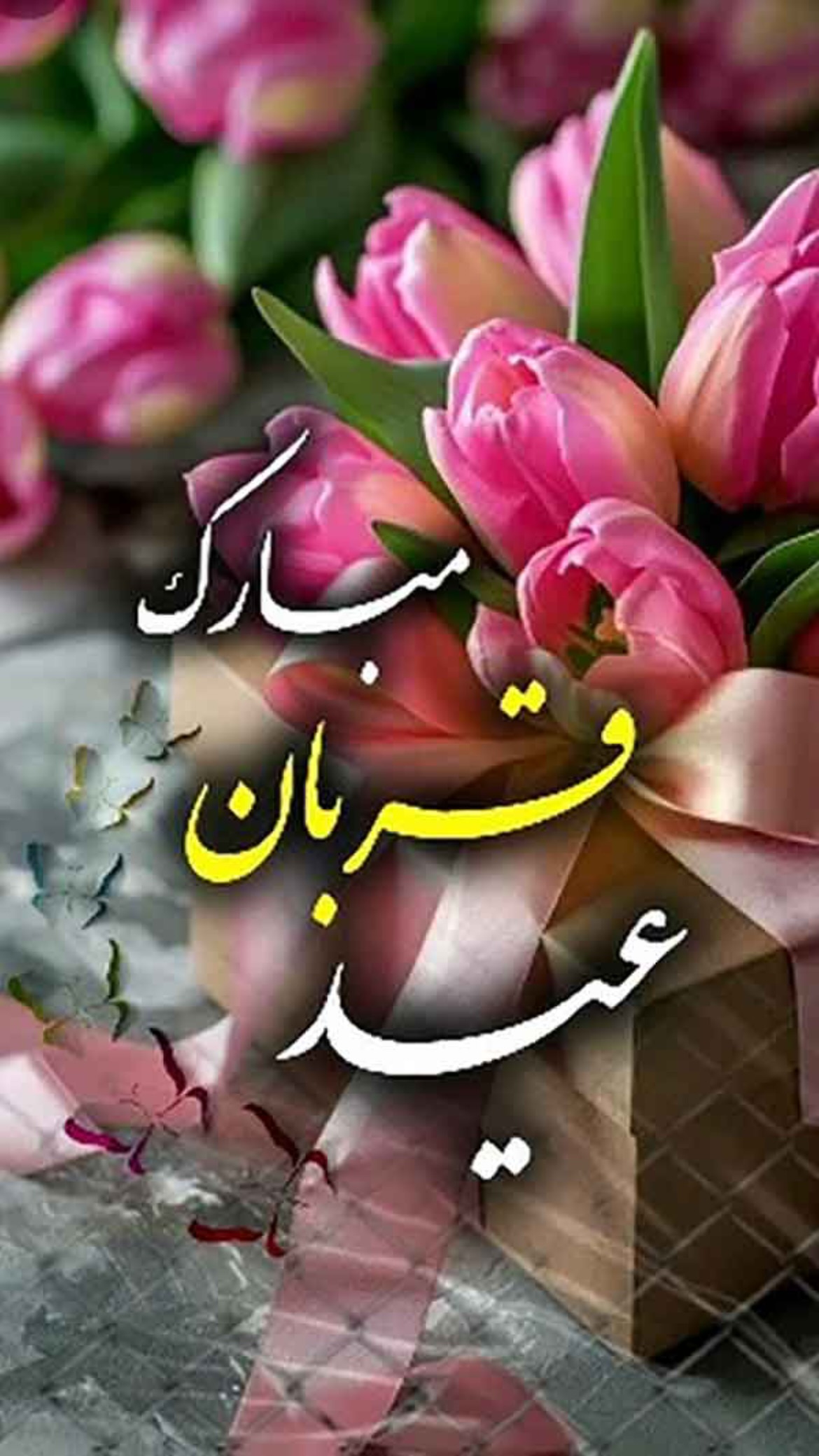  جدید ترین استوری اینستاگرام المیرا شریفی مقدم