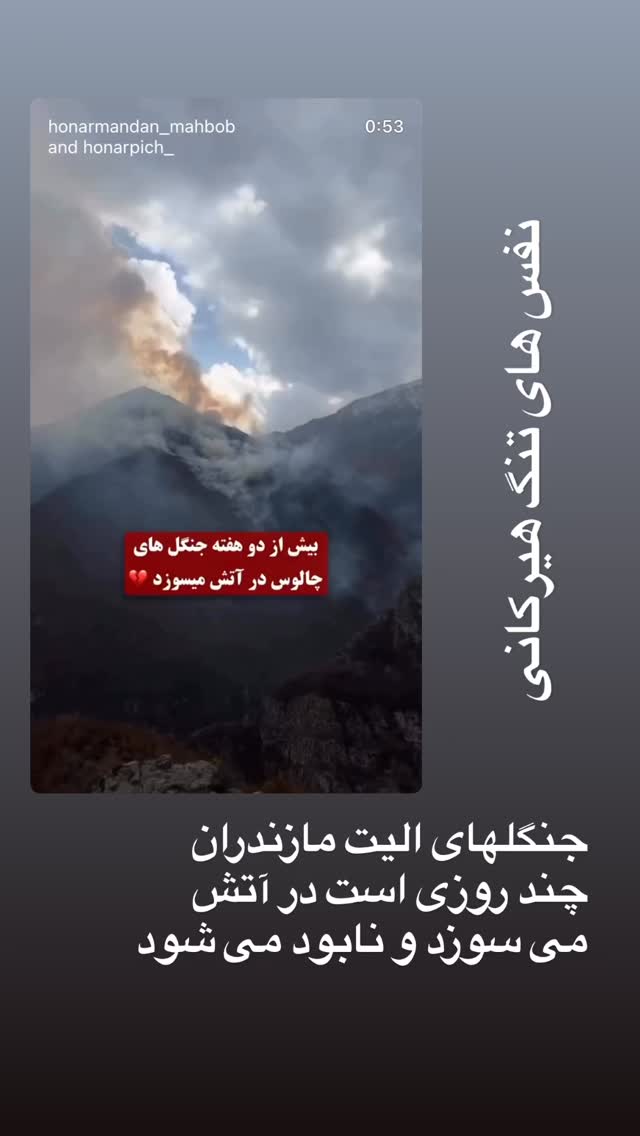  جدید ترین استوری اینستاگرام المیرا شریفی مقدم