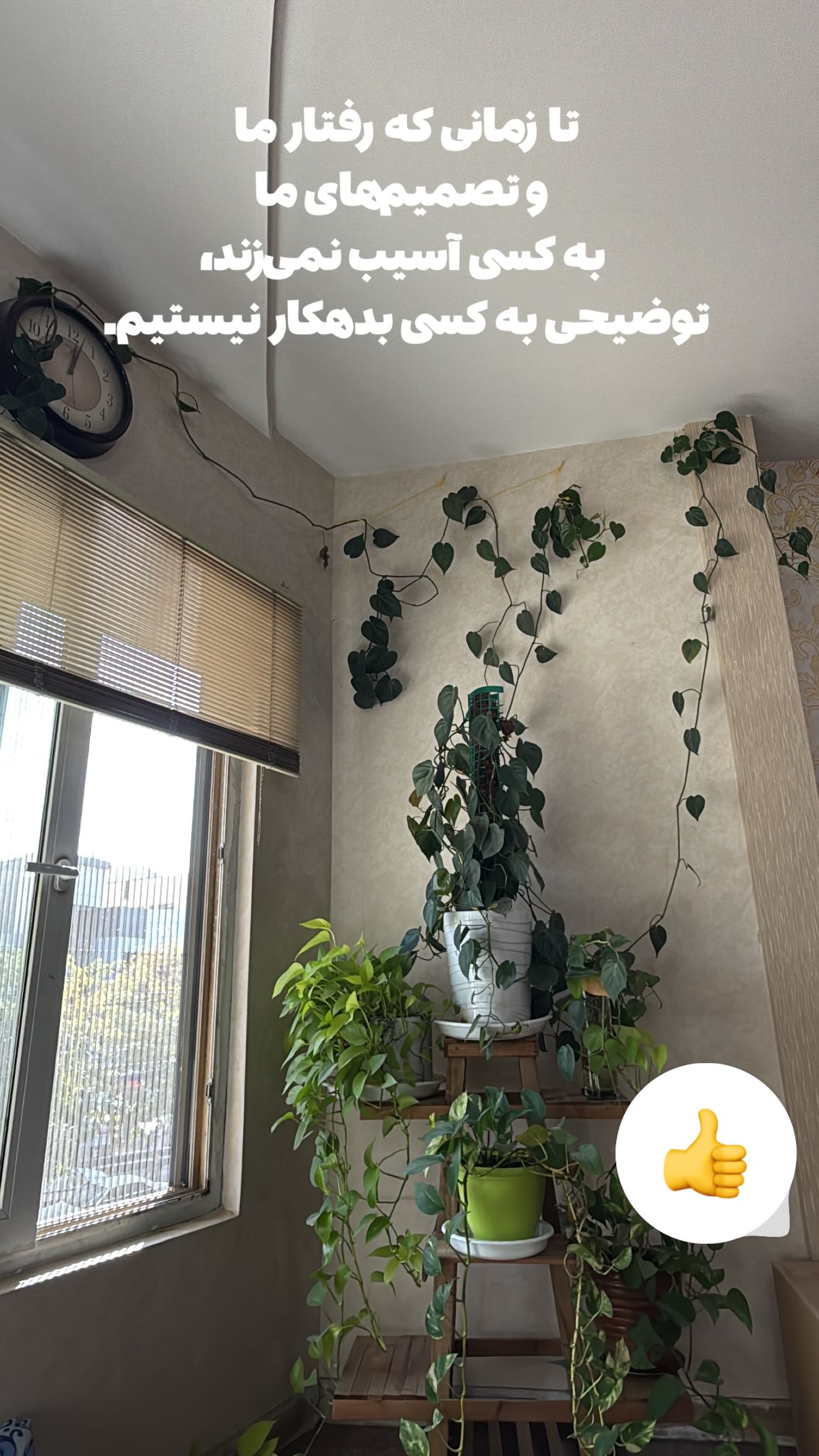  جدید ترین استوری اینستاگرام مهدی شریف