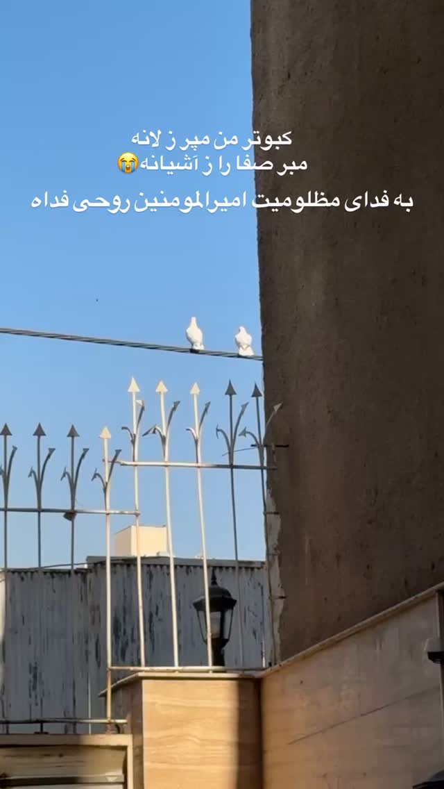  جدید ترین استوری اینستاگرام مهدی شریف