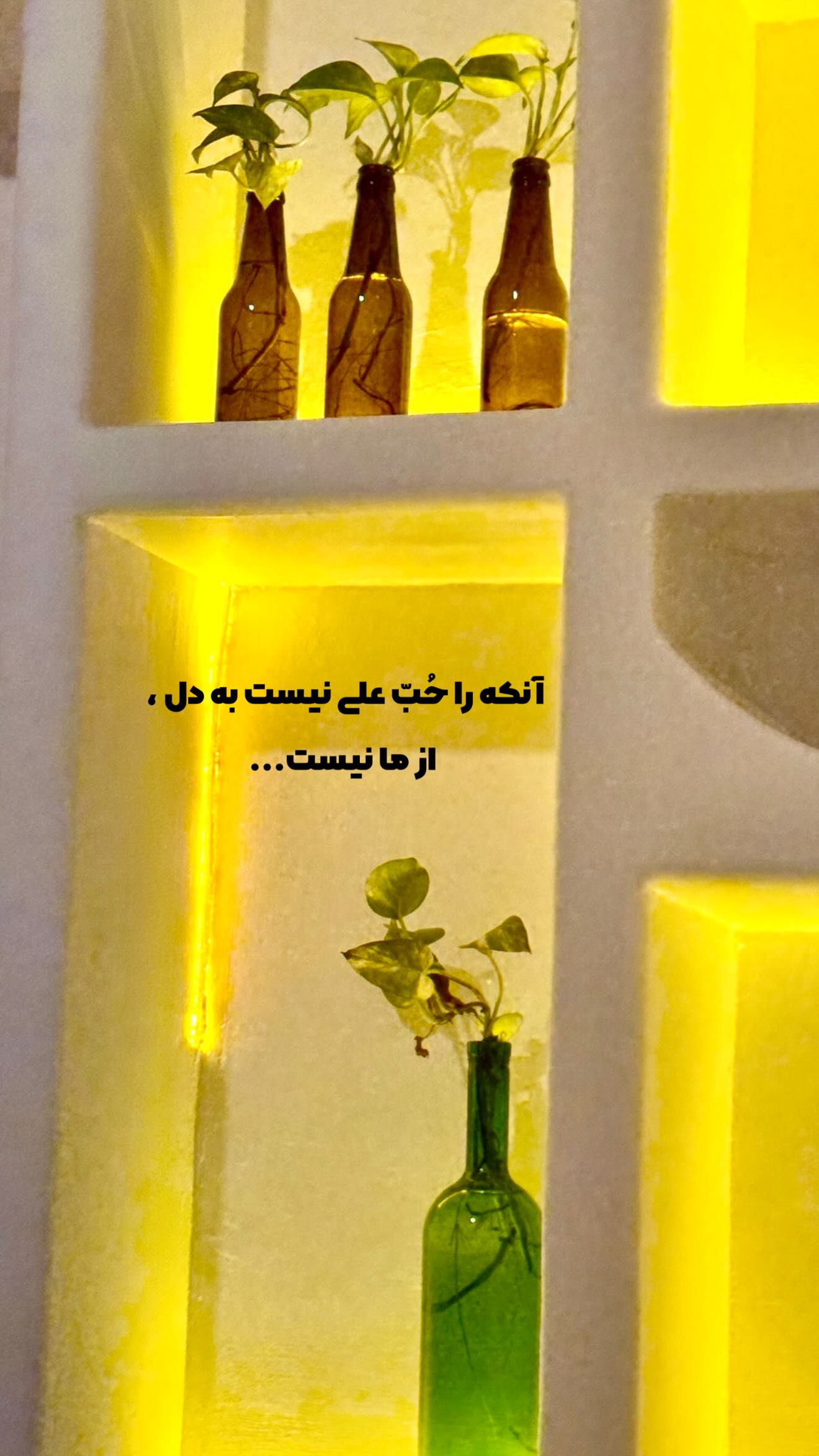  جدید ترین استوری اینستاگرام مهدی شریف