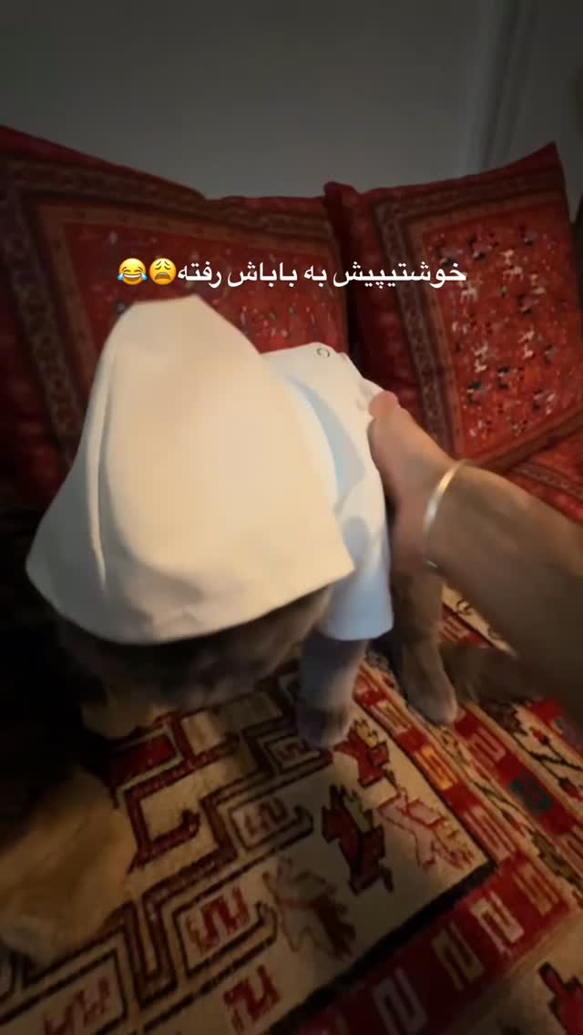  جدید ترین استوری اینستاگرام شهاب قوی پنجه
