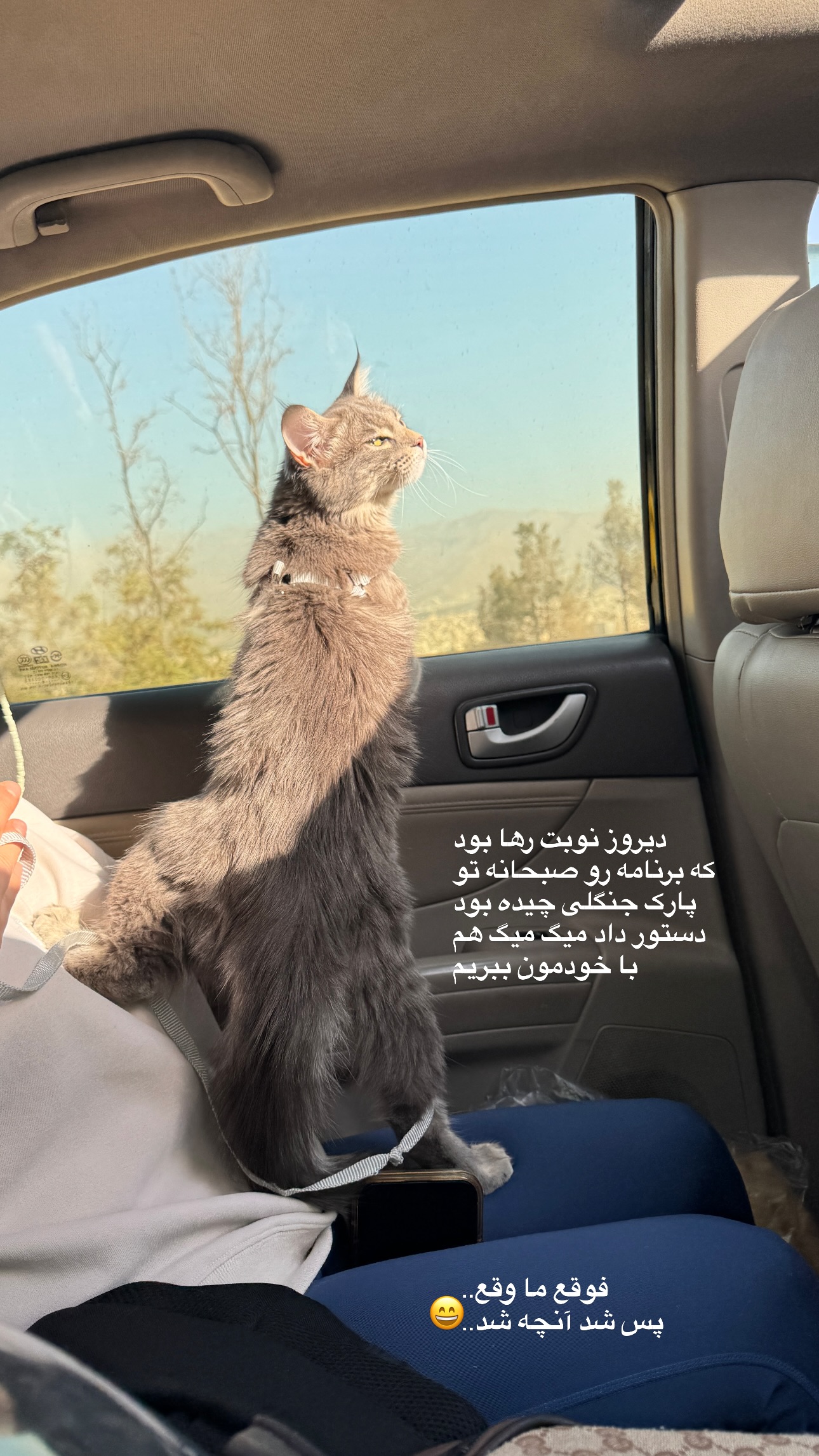  جدید ترین استوری اینستاگرام شایانرها