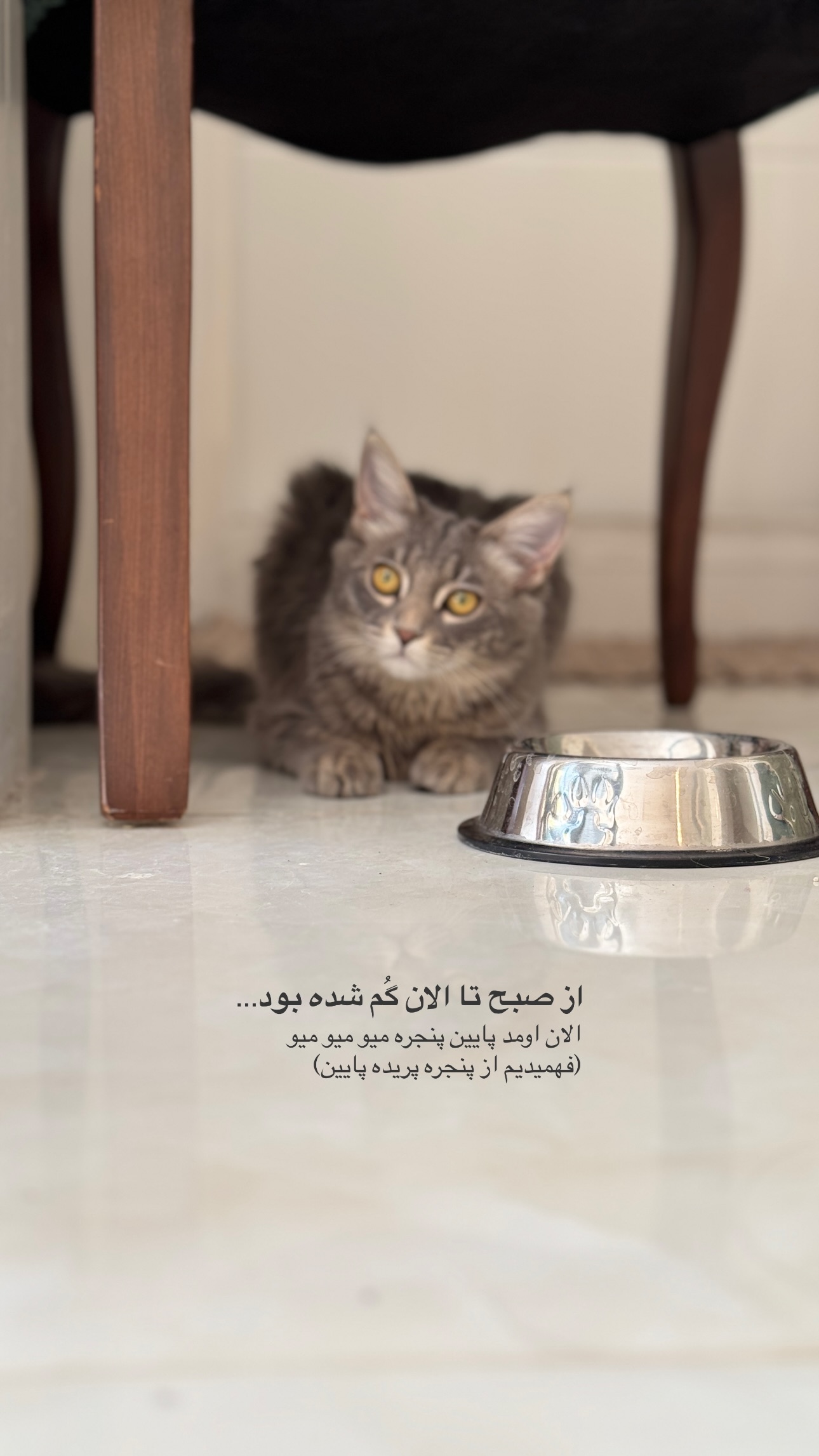  جدید ترین استوری اینستاگرام شایانرها