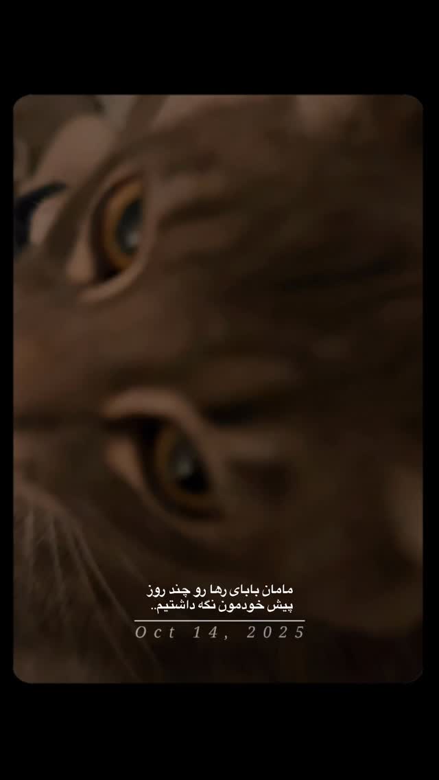  جدید ترین استوری اینستاگرام شایانرها