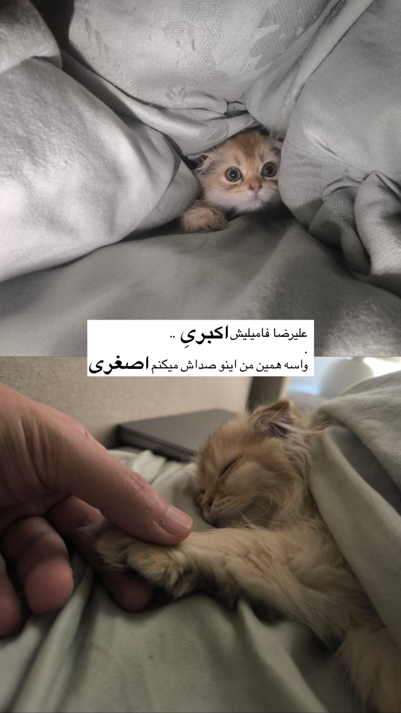  جدید ترین استوری اینستاگرام شایانرها