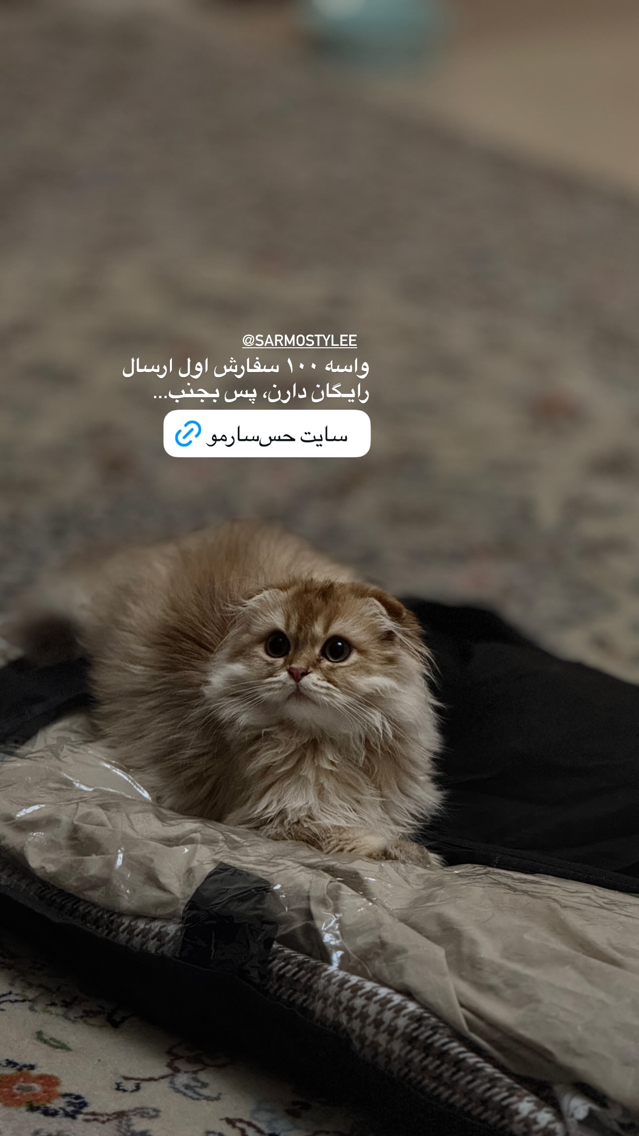  جدید ترین استوری اینستاگرام شایانرها