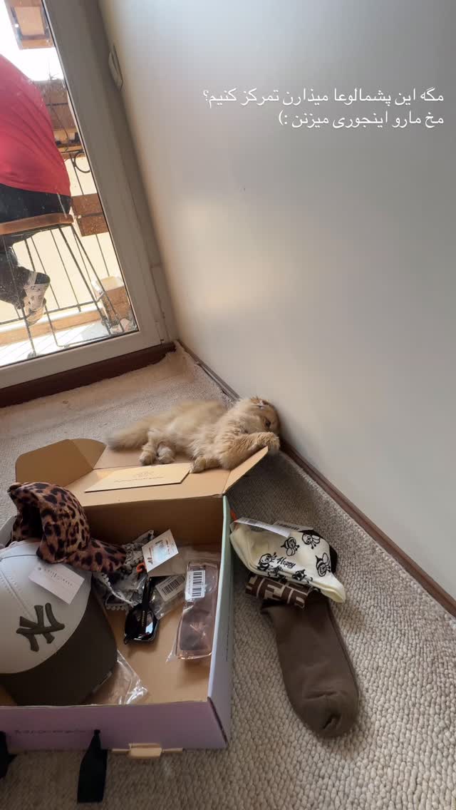  جدید ترین استوری اینستاگرام شایانرها