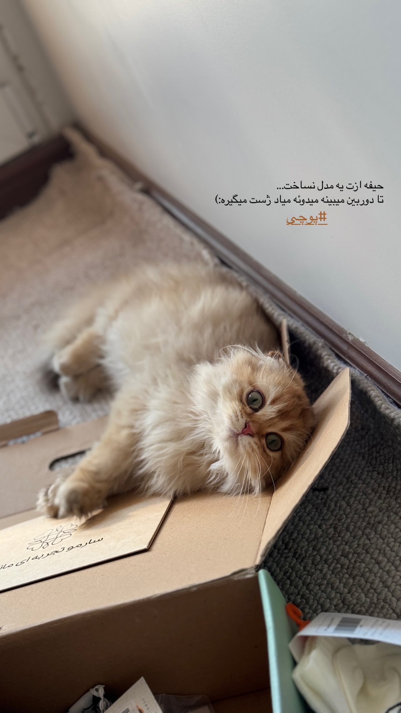 جدید ترین استوری اینستاگرام شایانرها