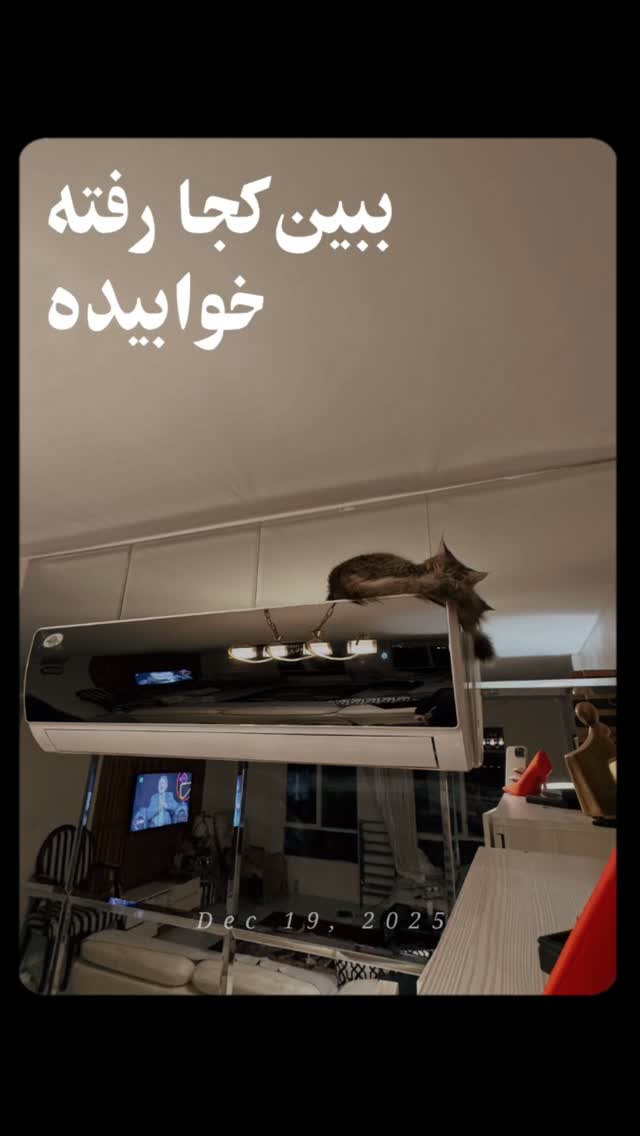  جدید ترین استوری اینستاگرام شایانرها