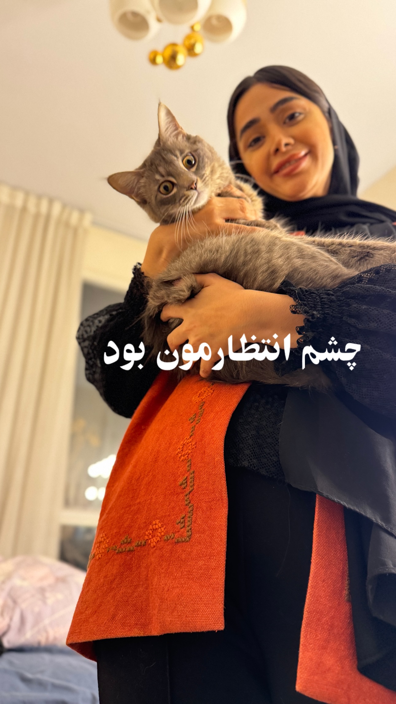  جدید ترین استوری اینستاگرام شایانرها