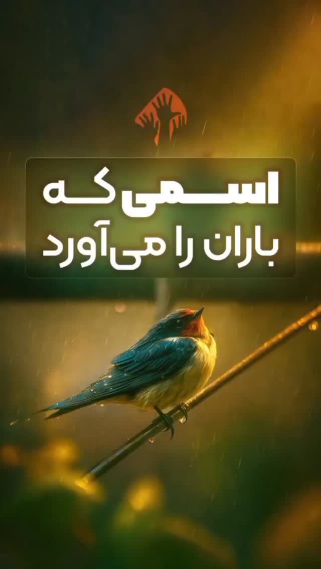  جدید ترین استوری اینستاگرام شایان مصلح