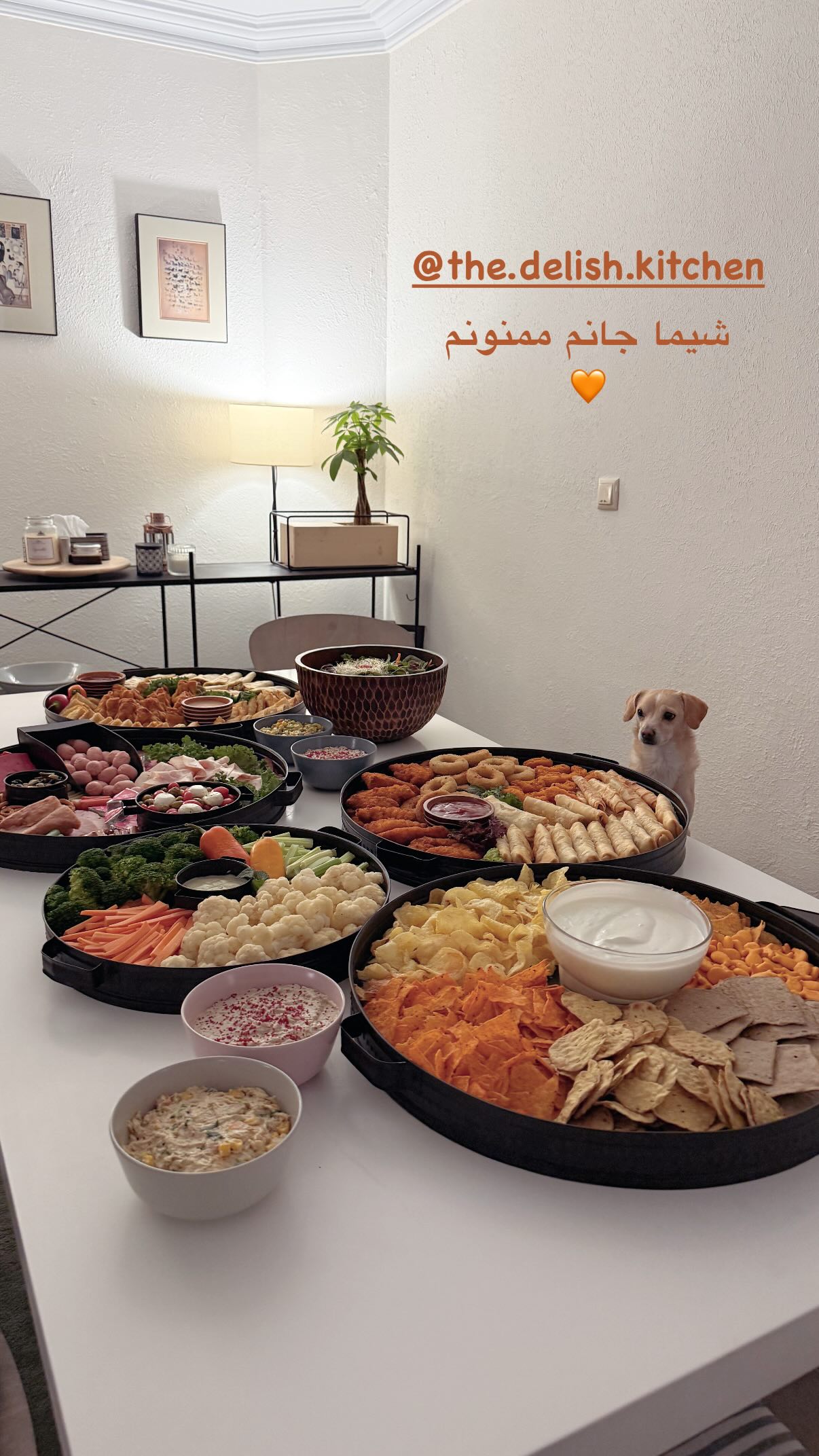  جدید ترین استوری اینستاگرام شیدا خلیق