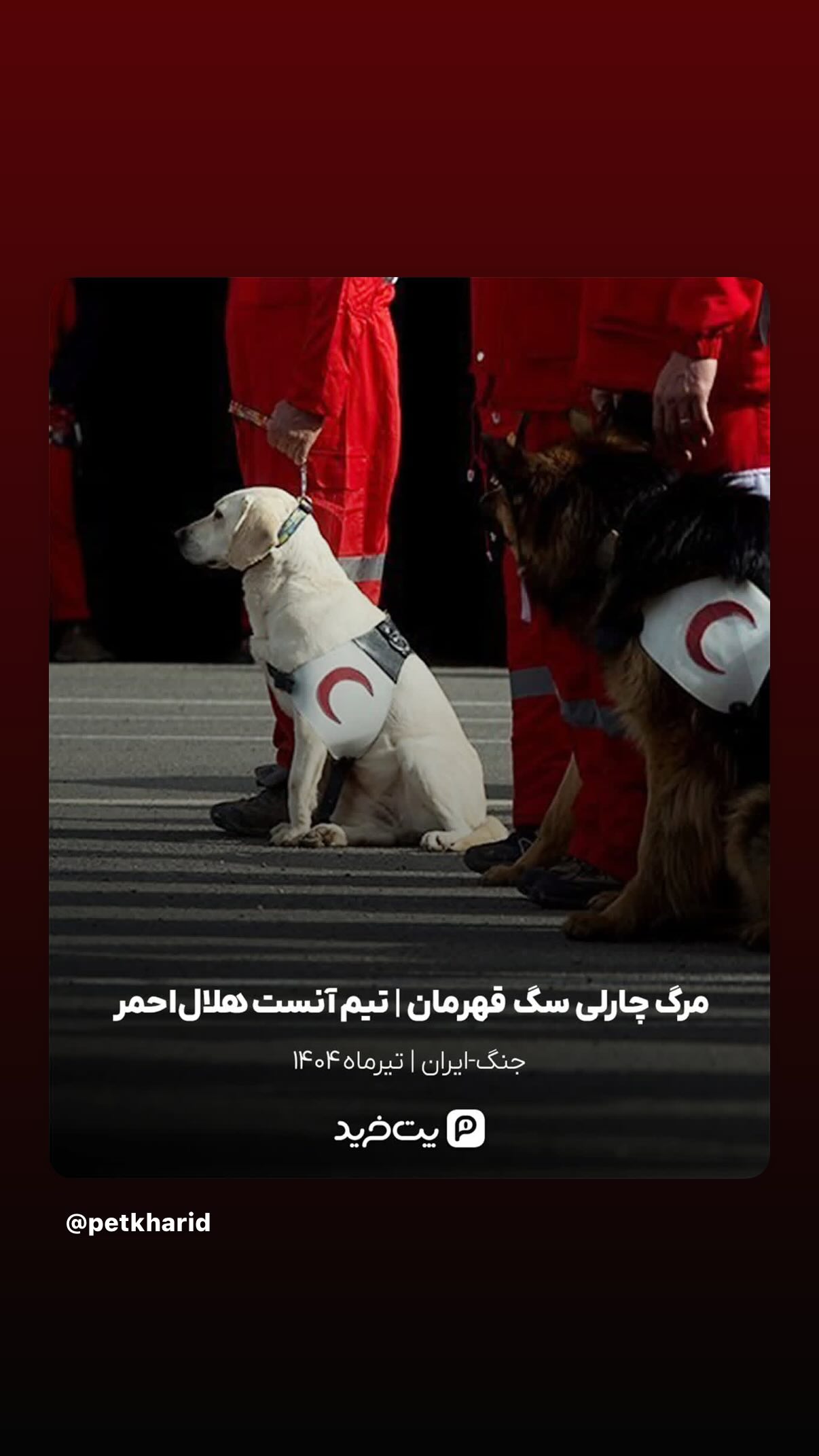  جدید ترین استوری اینستاگرام شیدا خلیق