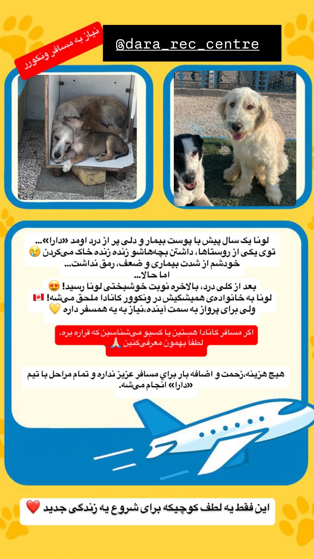  جدید ترین استوری اینستاگرام شیدا خلیق