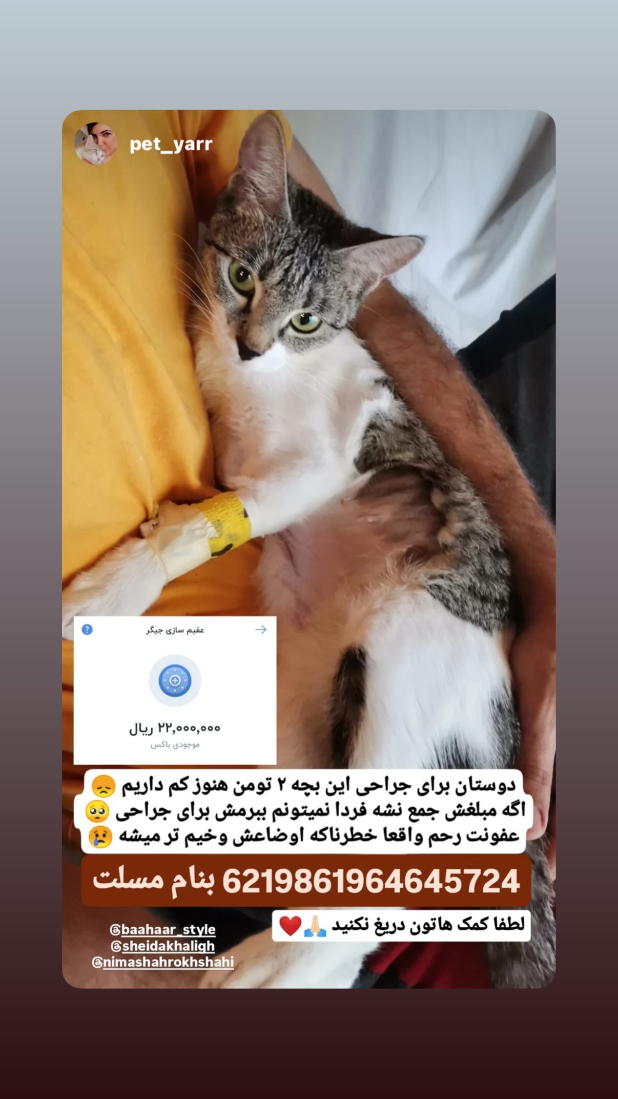  جدید ترین استوری اینستاگرام شیدا خلیق