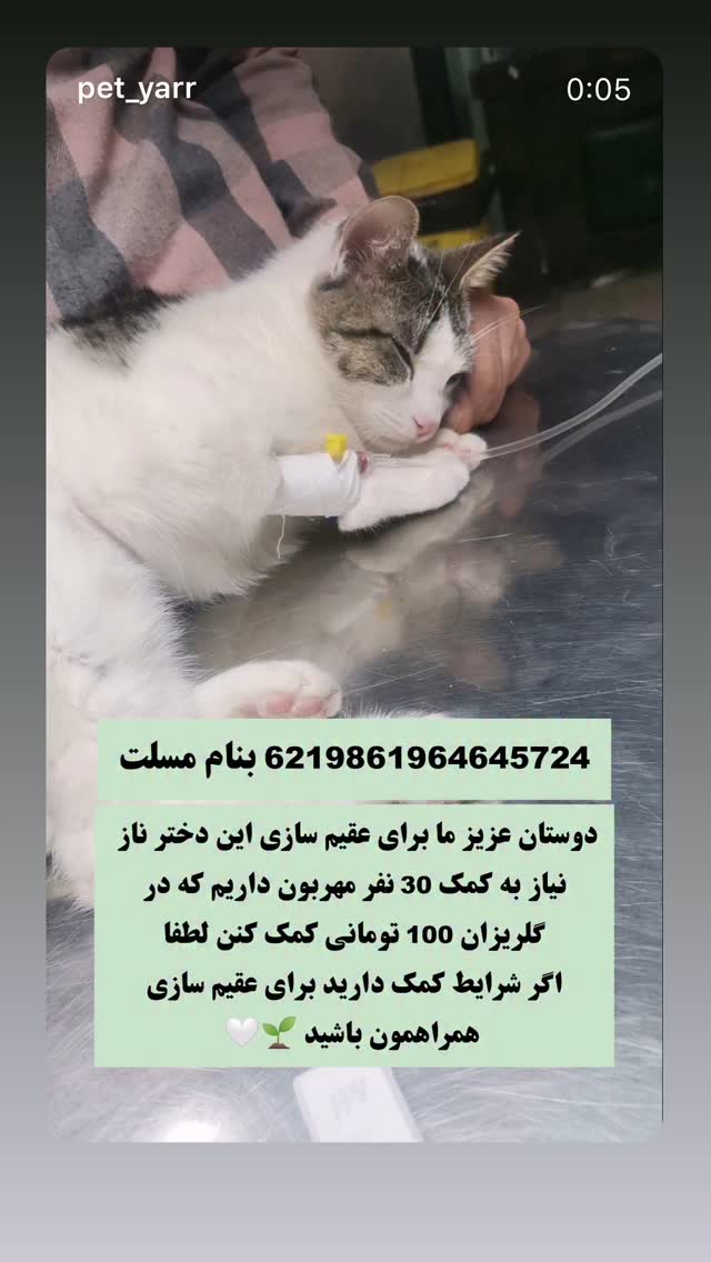  جدید ترین استوری اینستاگرام شیدا خلیق