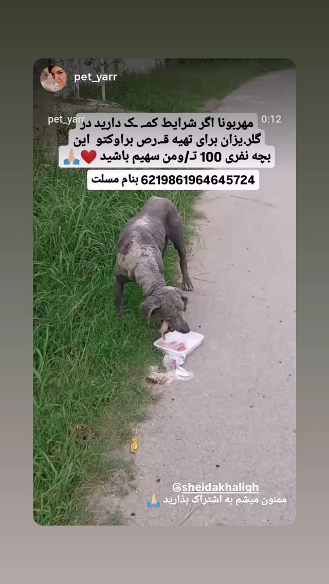  جدید ترین استوری اینستاگرام شیدا خلیق