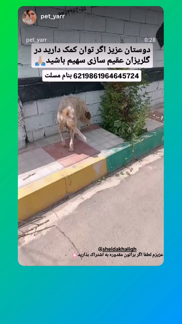  جدید ترین استوری اینستاگرام شیدا خلیق