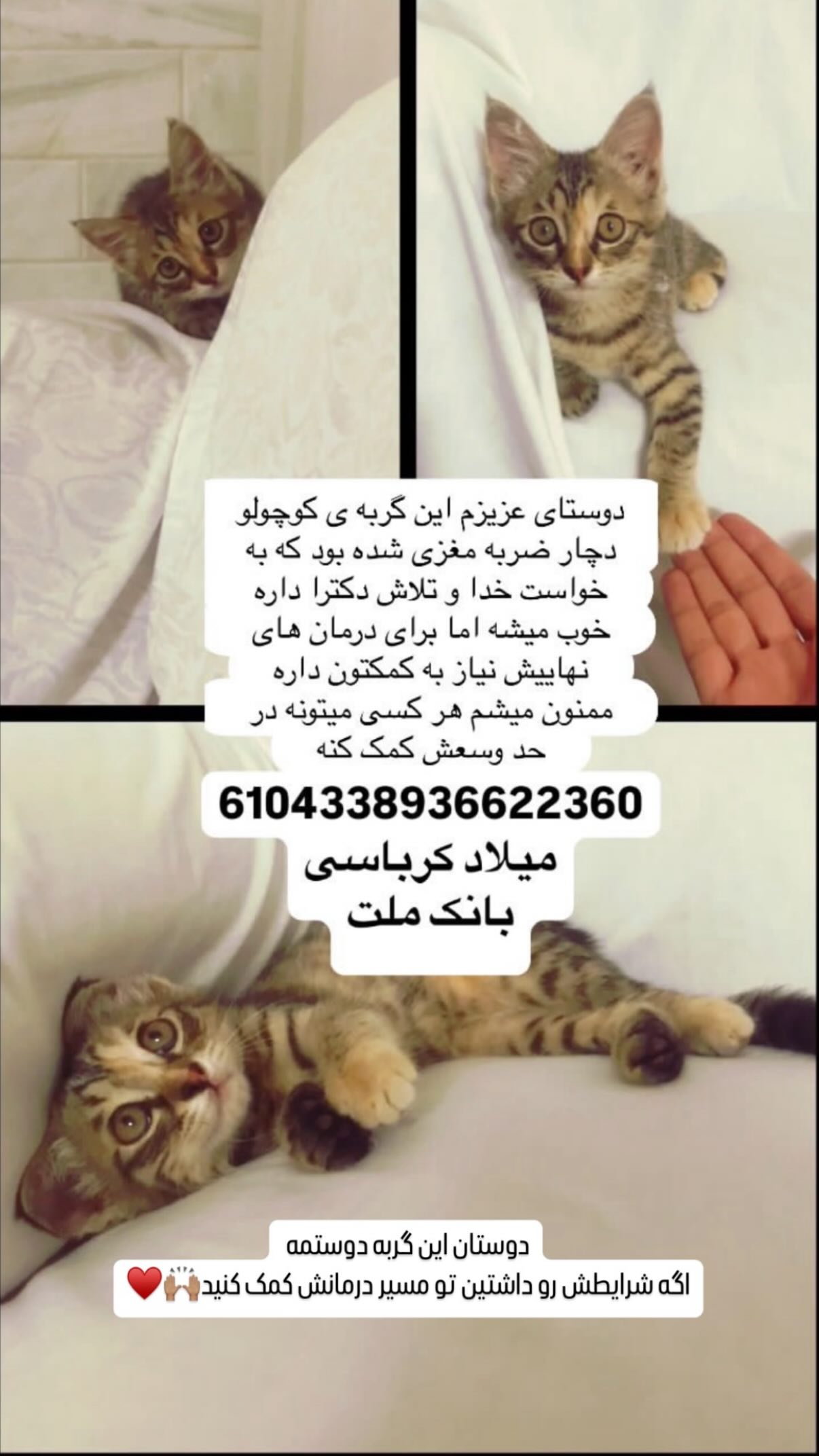  جدید ترین استوری اینستاگرام شیدا خلیق