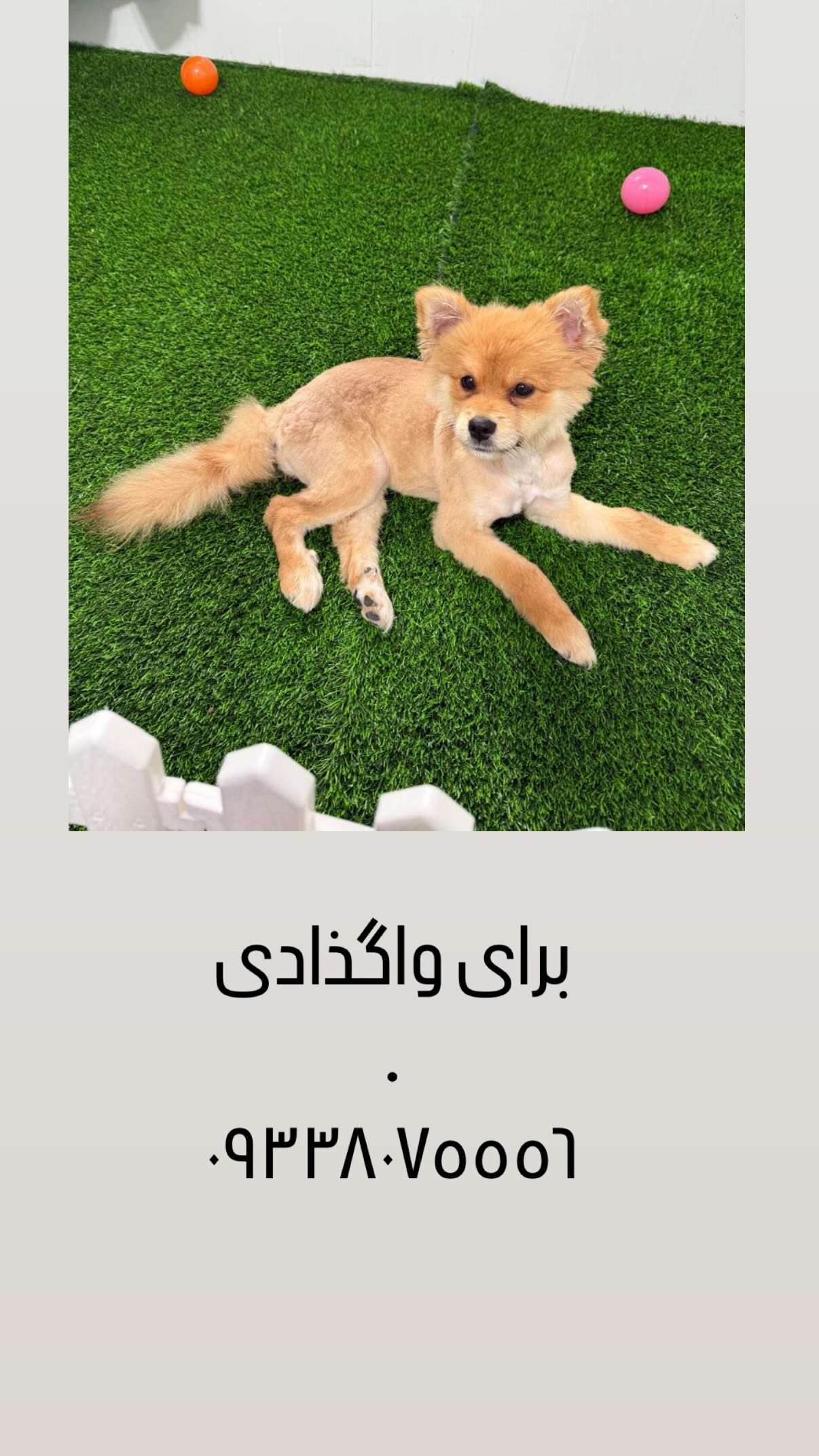  جدید ترین استوری اینستاگرام شیدا خلیق