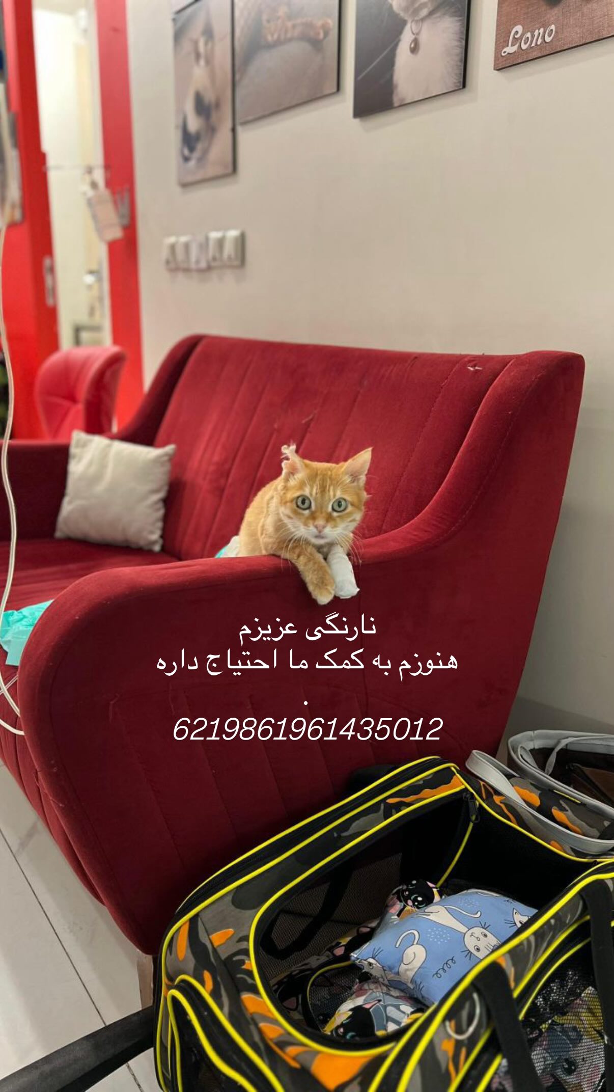  جدید ترین استوری اینستاگرام شیدا خلیق
