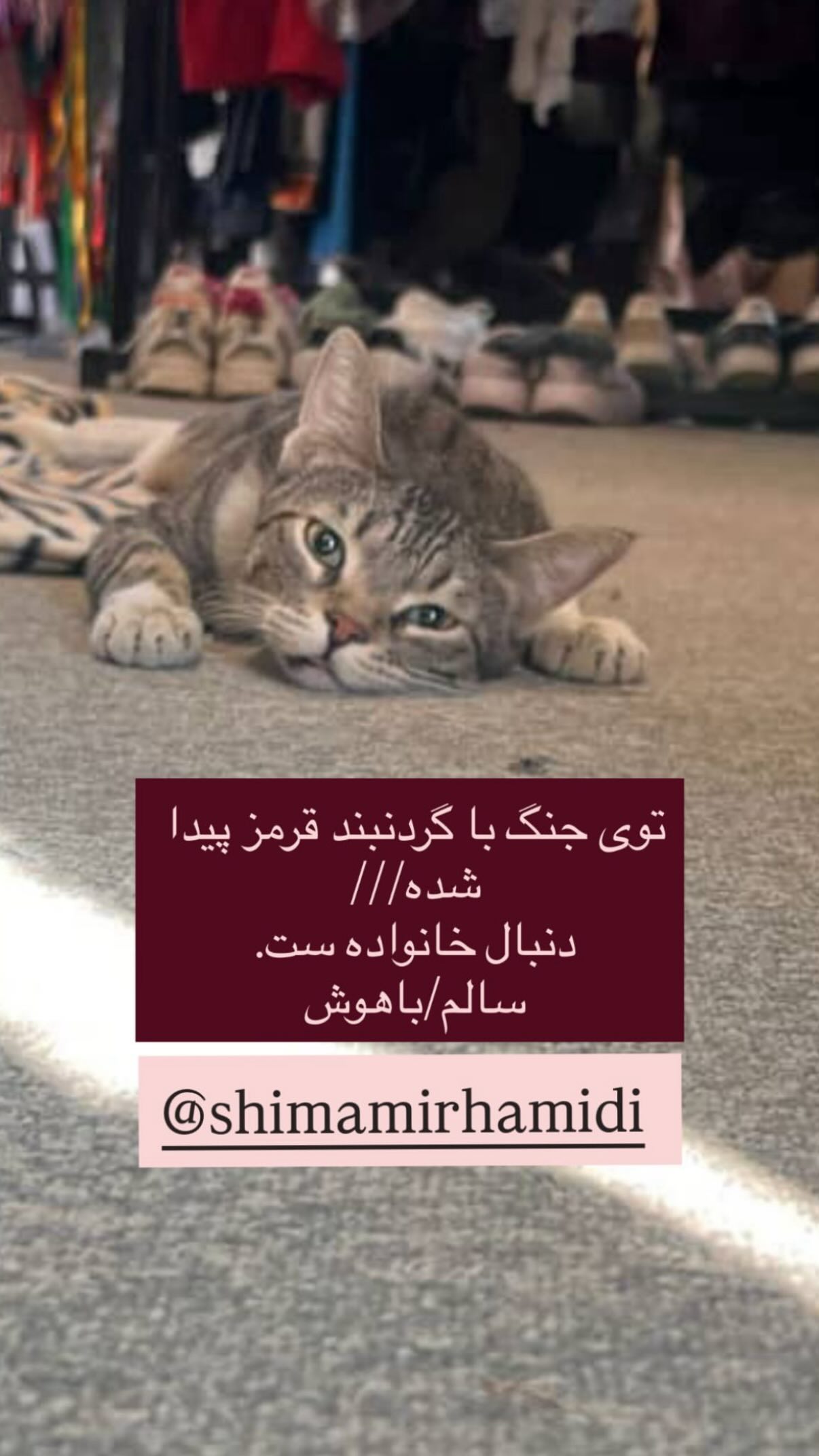  جدید ترین استوری اینستاگرام شیدا خلیق