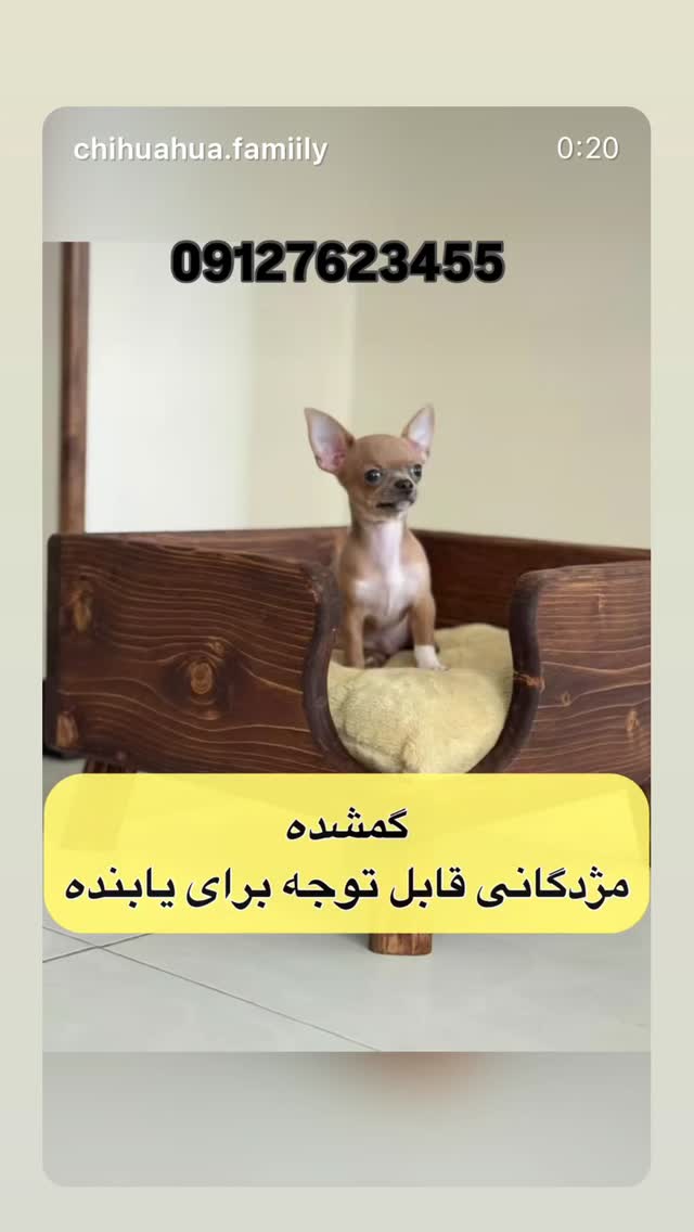  جدید ترین استوری اینستاگرام شیدا خلیق