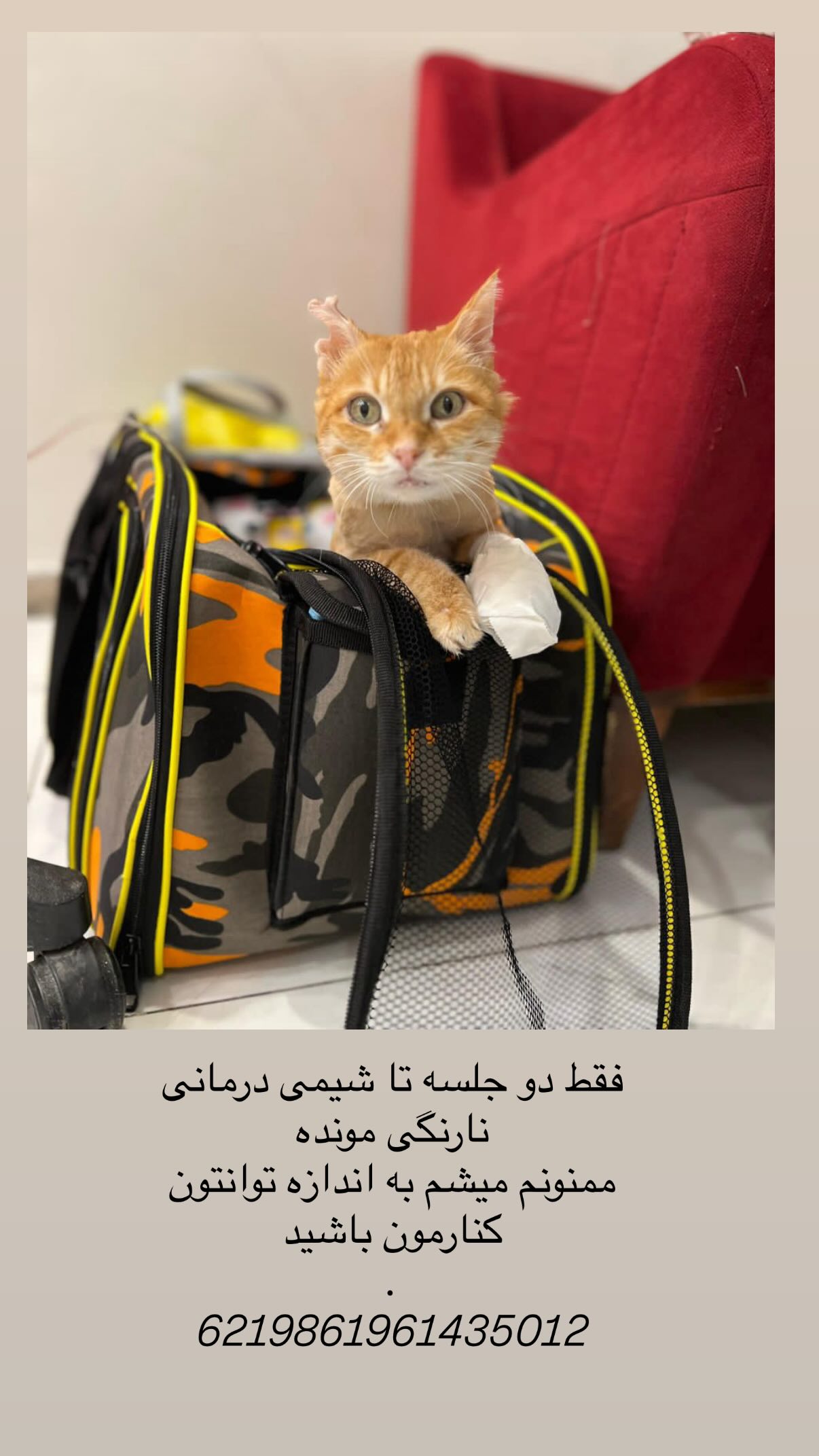  جدید ترین استوری اینستاگرام شیدا خلیق