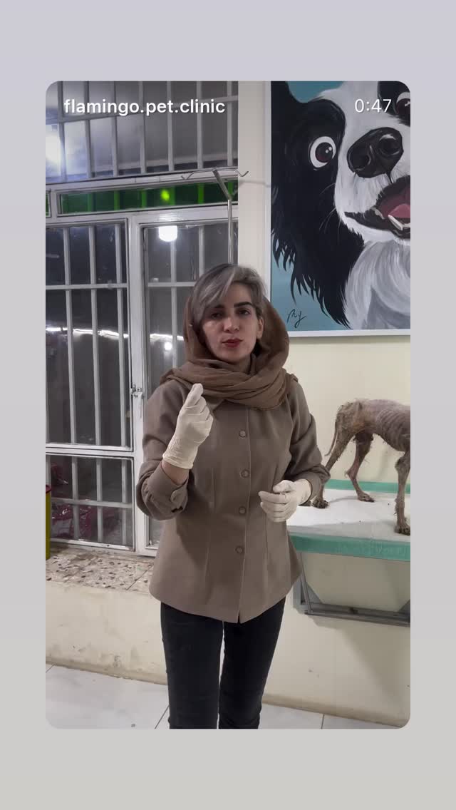  جدید ترین استوری اینستاگرام شیدا خلیق