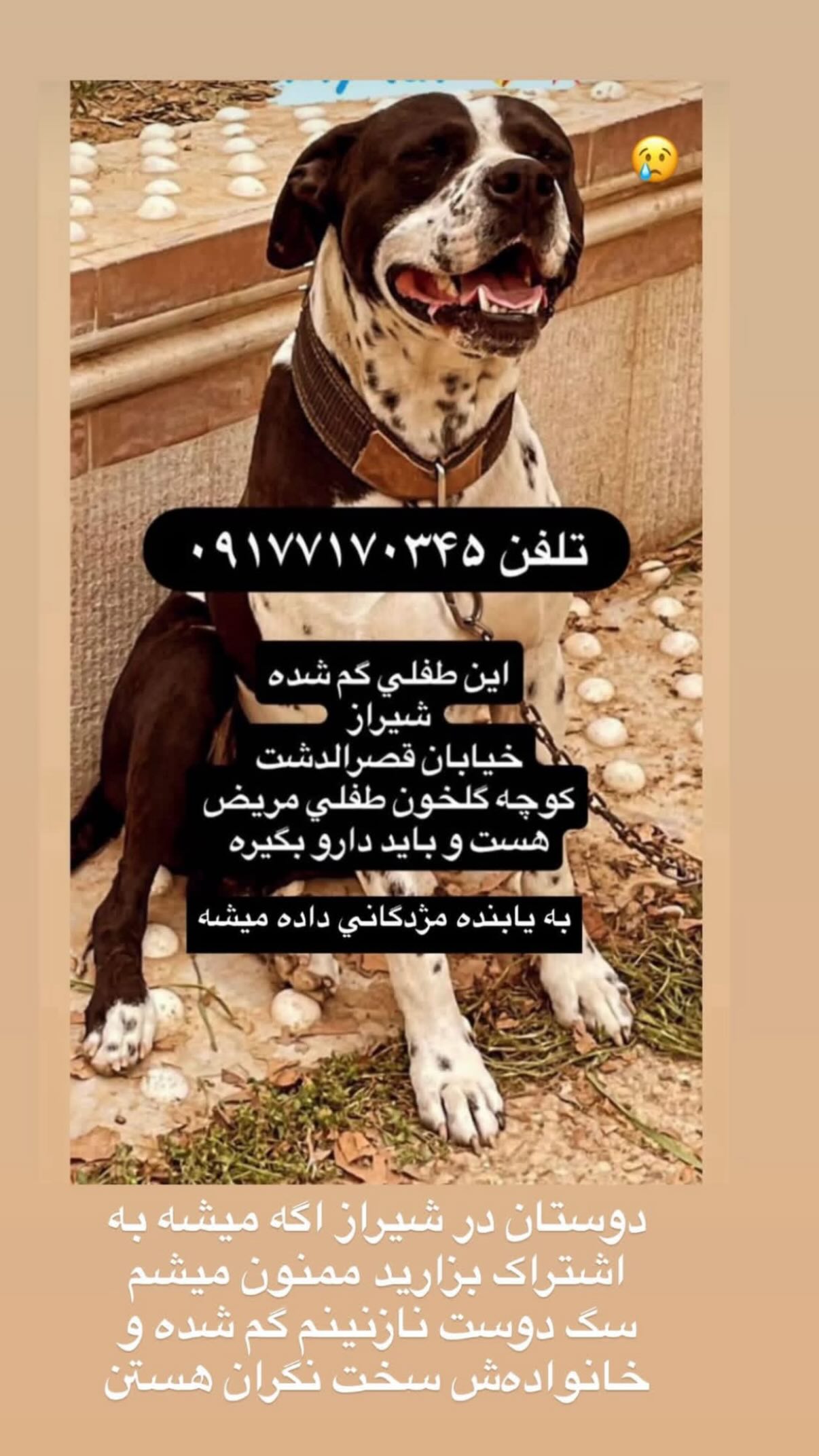  جدید ترین استوری اینستاگرام شیدا خلیق