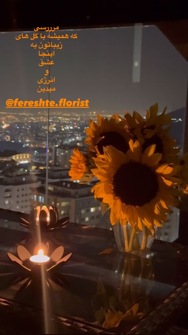  جدید ترین استوری اینستاگرام شیدا یوسفی