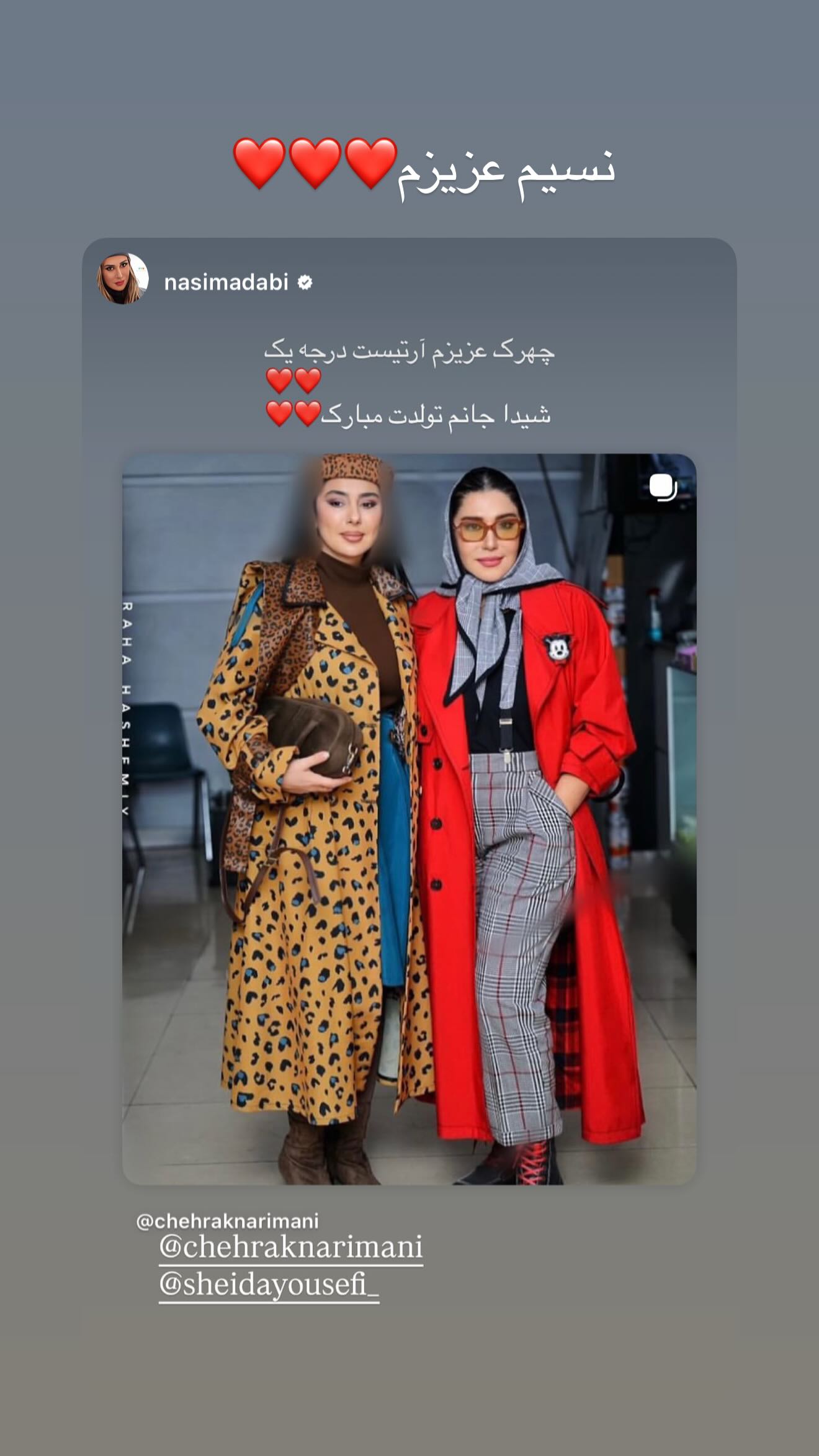  جدید ترین استوری اینستاگرام شیدا یوسفی