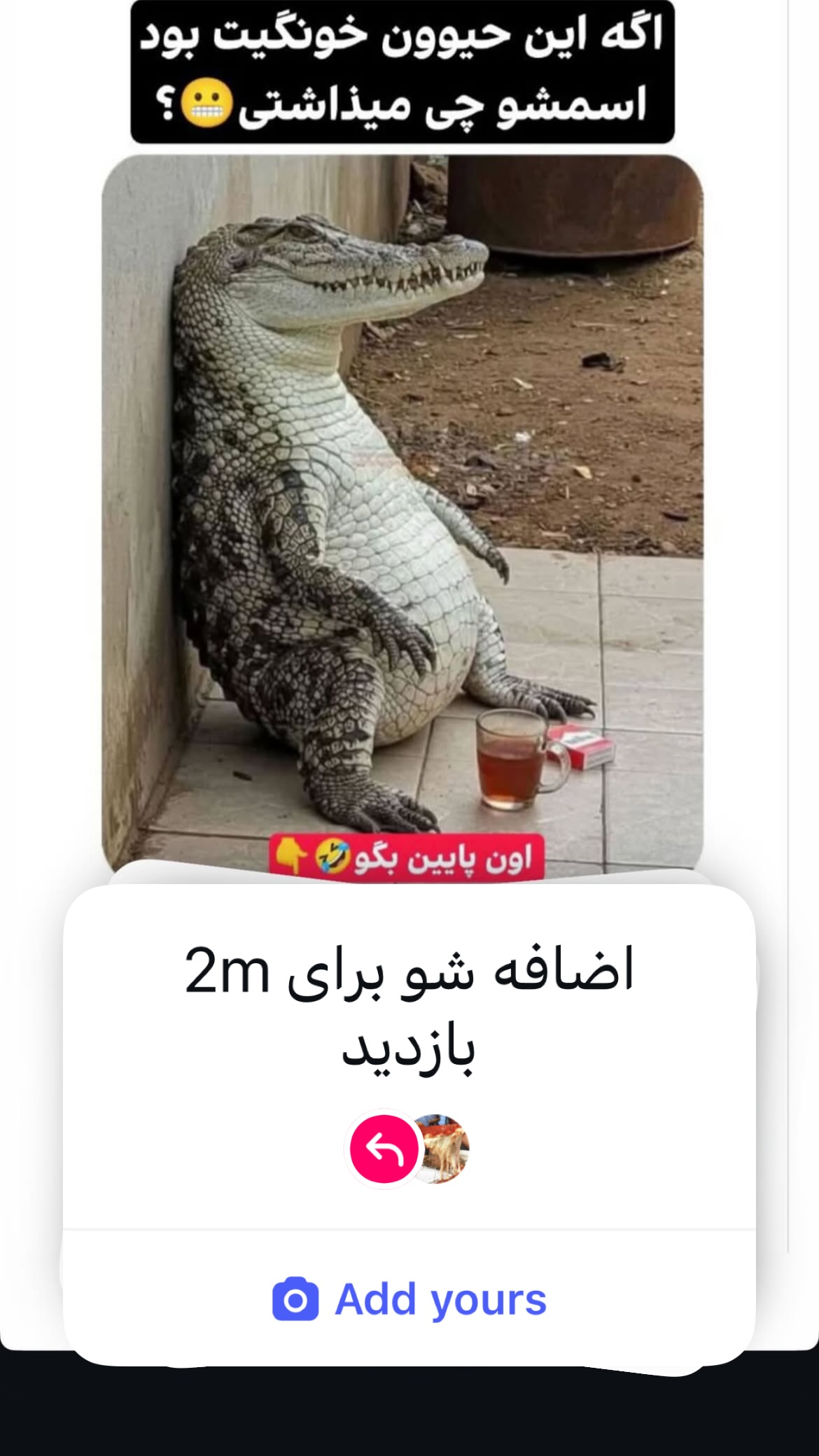  جدید ترین استوری اینستاگرام شکموها