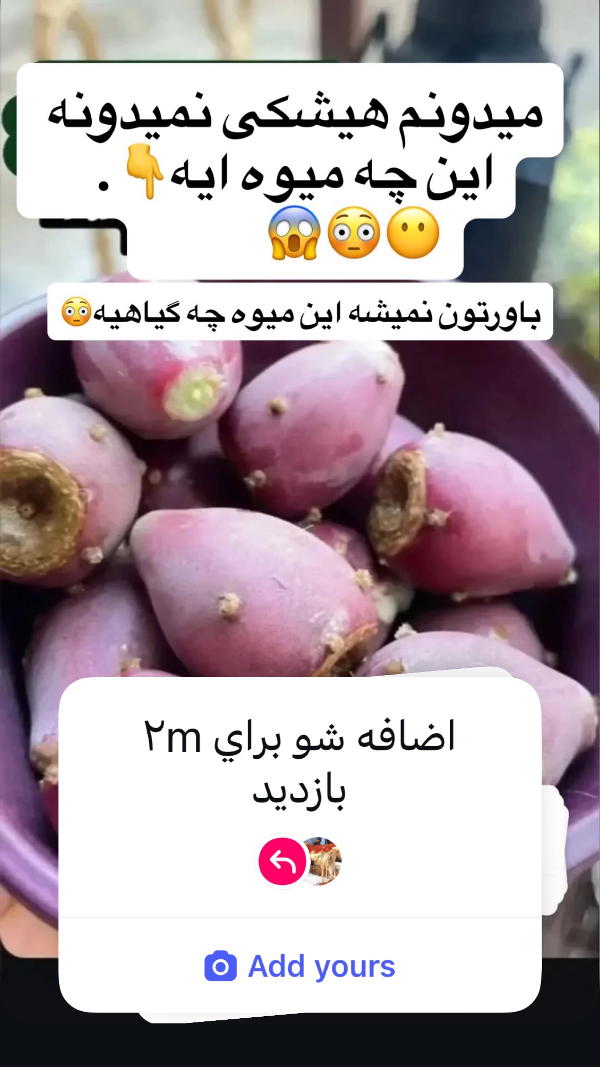  جدید ترین استوری اینستاگرام شکموها