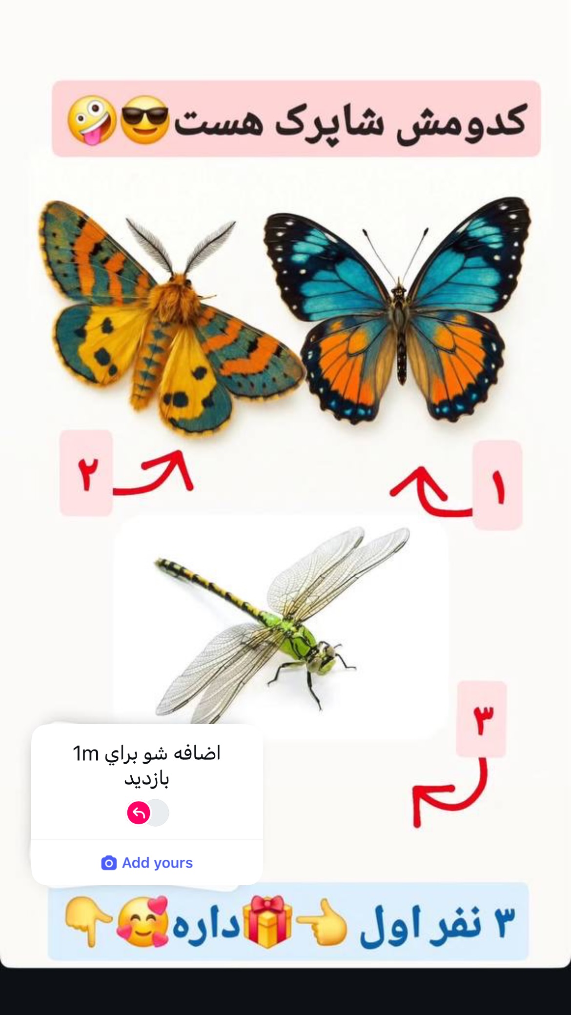  جدید ترین استوری اینستاگرام شکموها